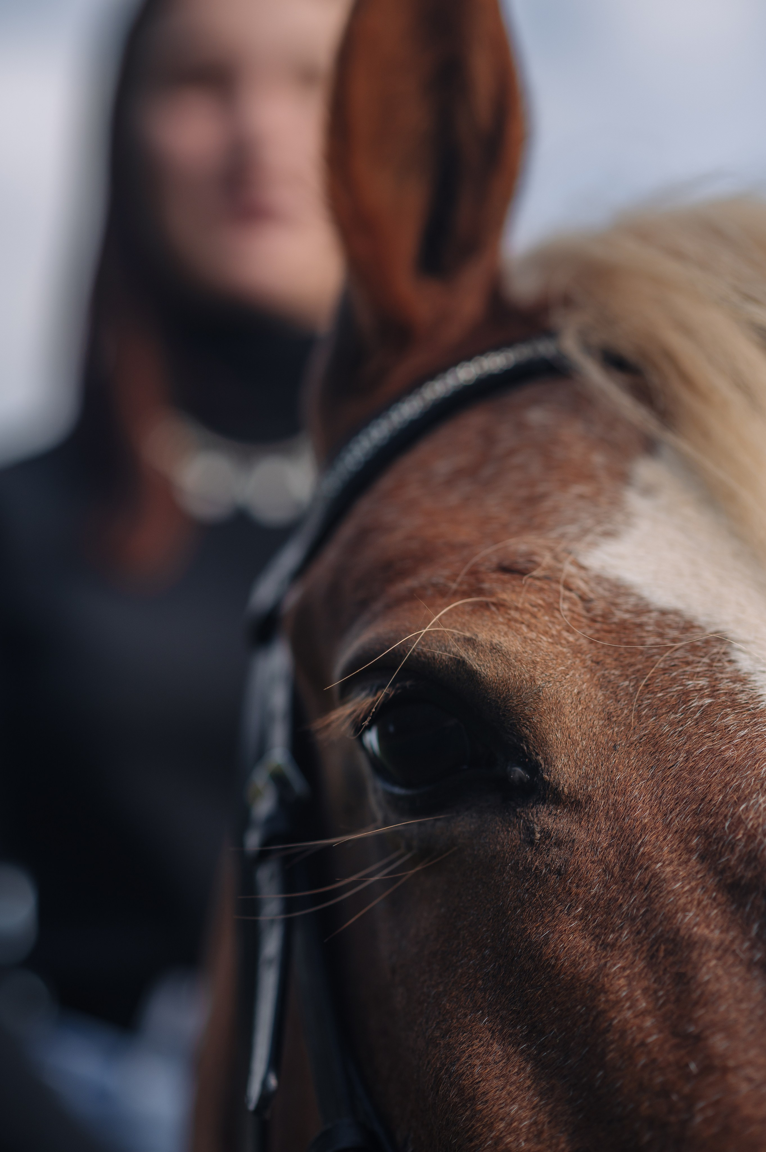 Виктория Москвина — портретная съёмка. Иван Кубик — фотограф и видеограф