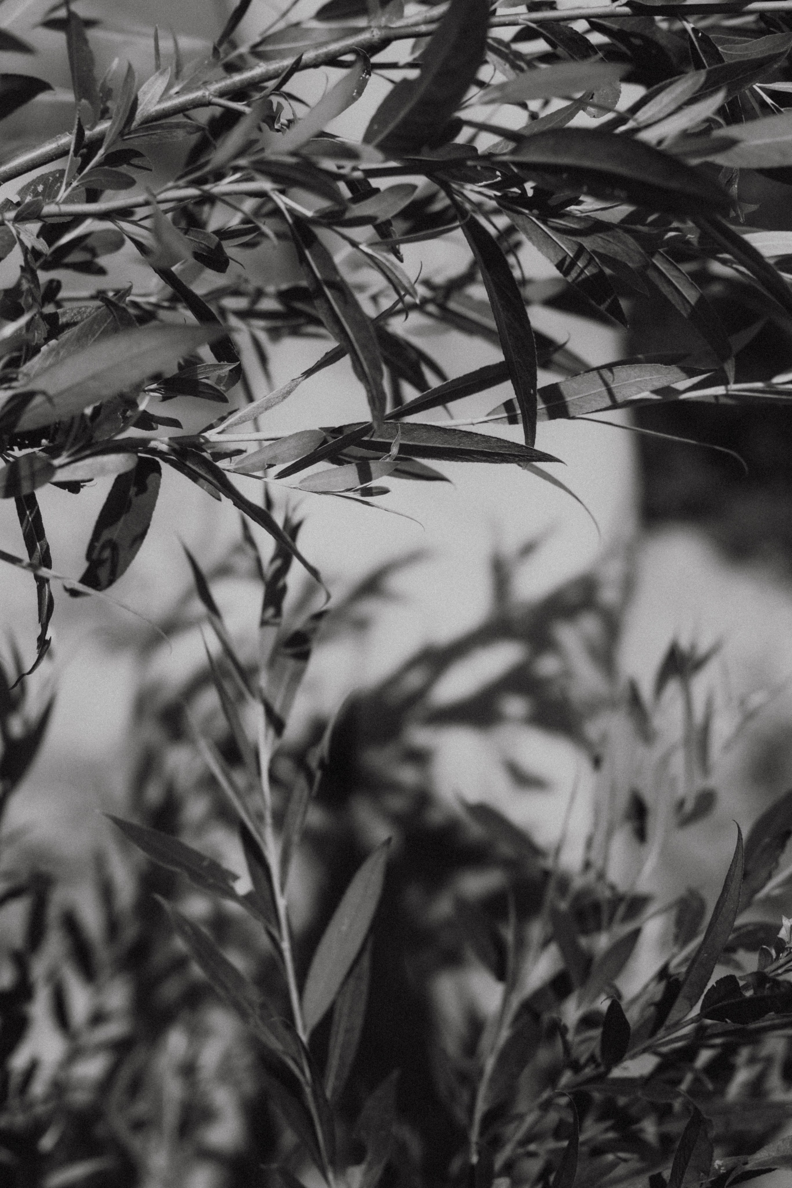 Эльвира. Фотограф в Нижнем Новгороде