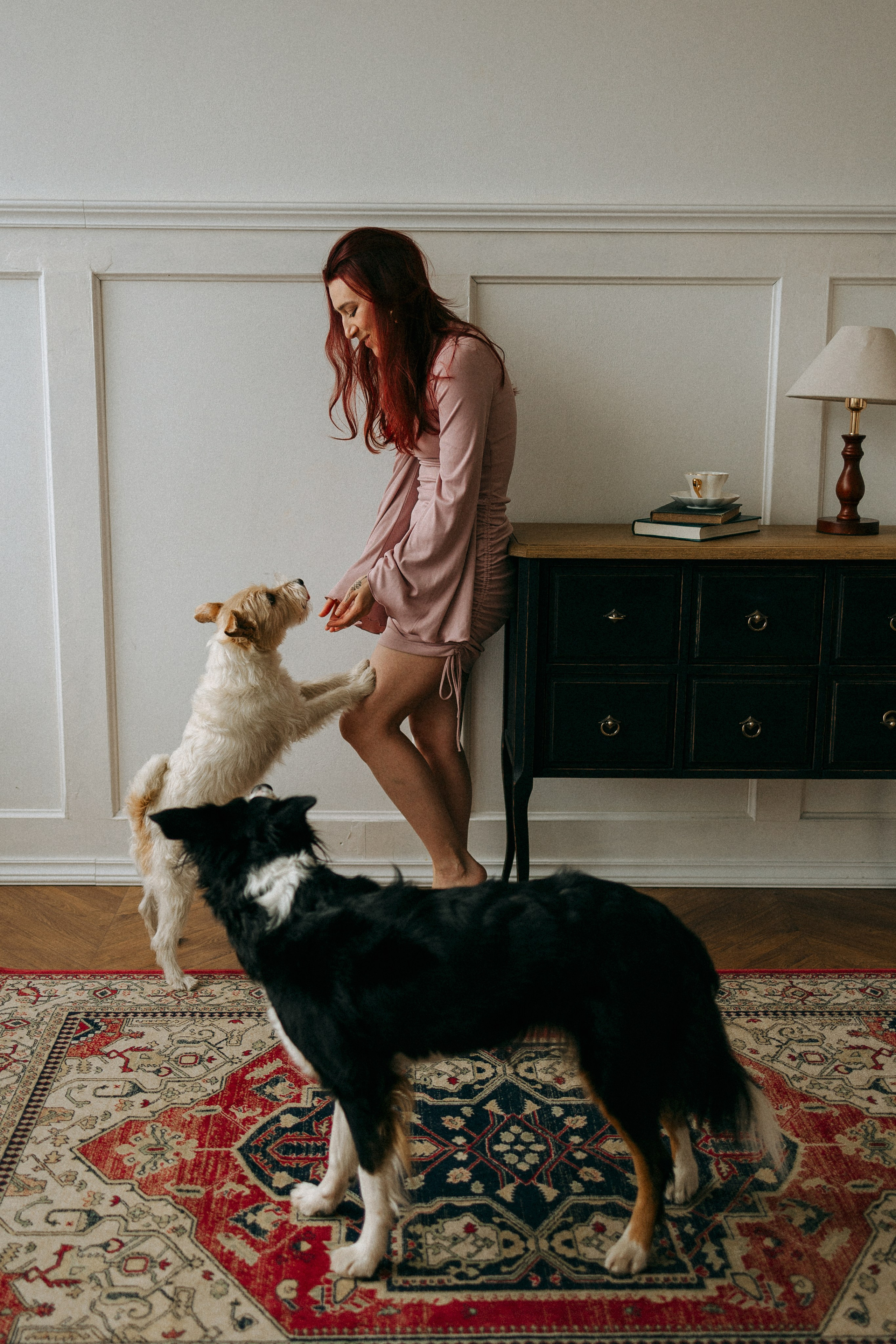 Цунами, Теон и Женя. Фотограф анималист Анастасия Пикей