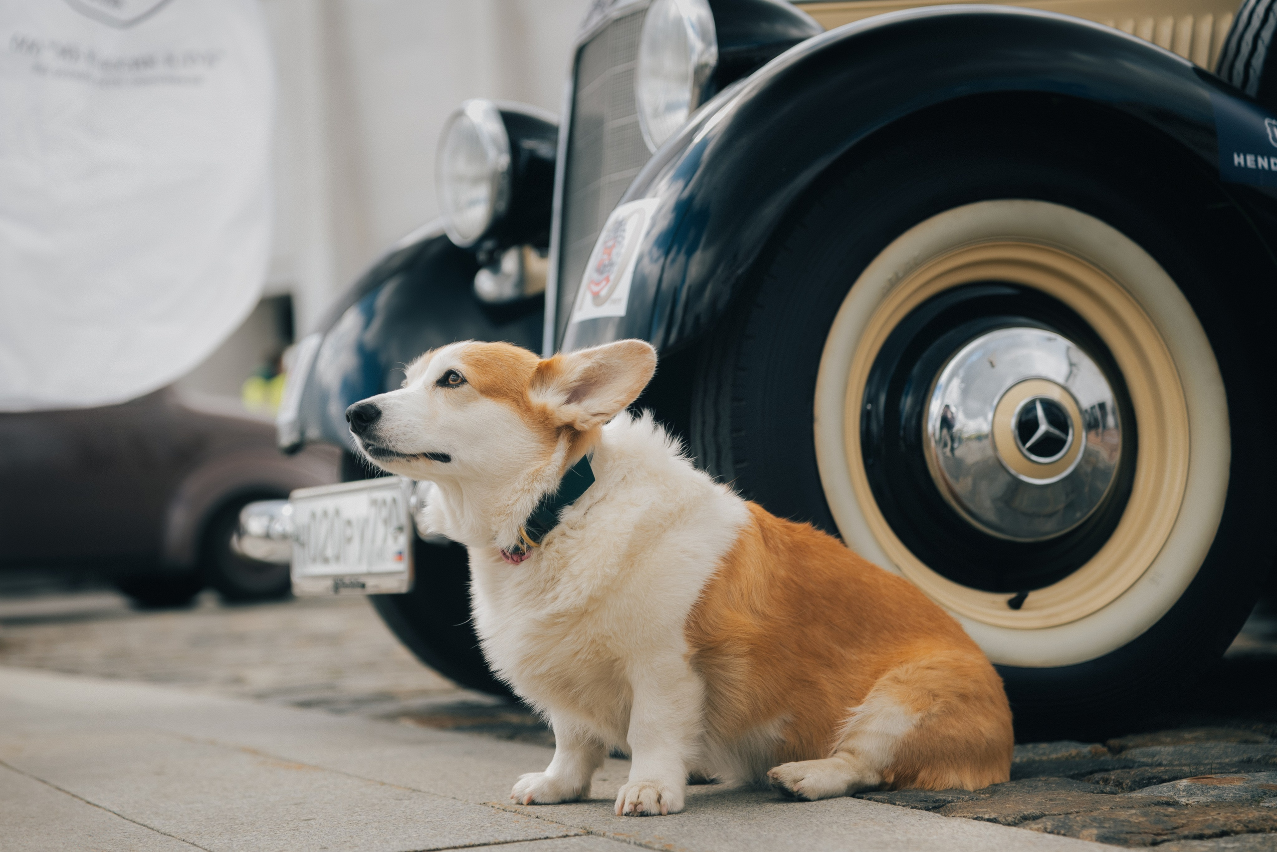 Ралли «Победа». Ilya Foxy — автомобильный фотограф