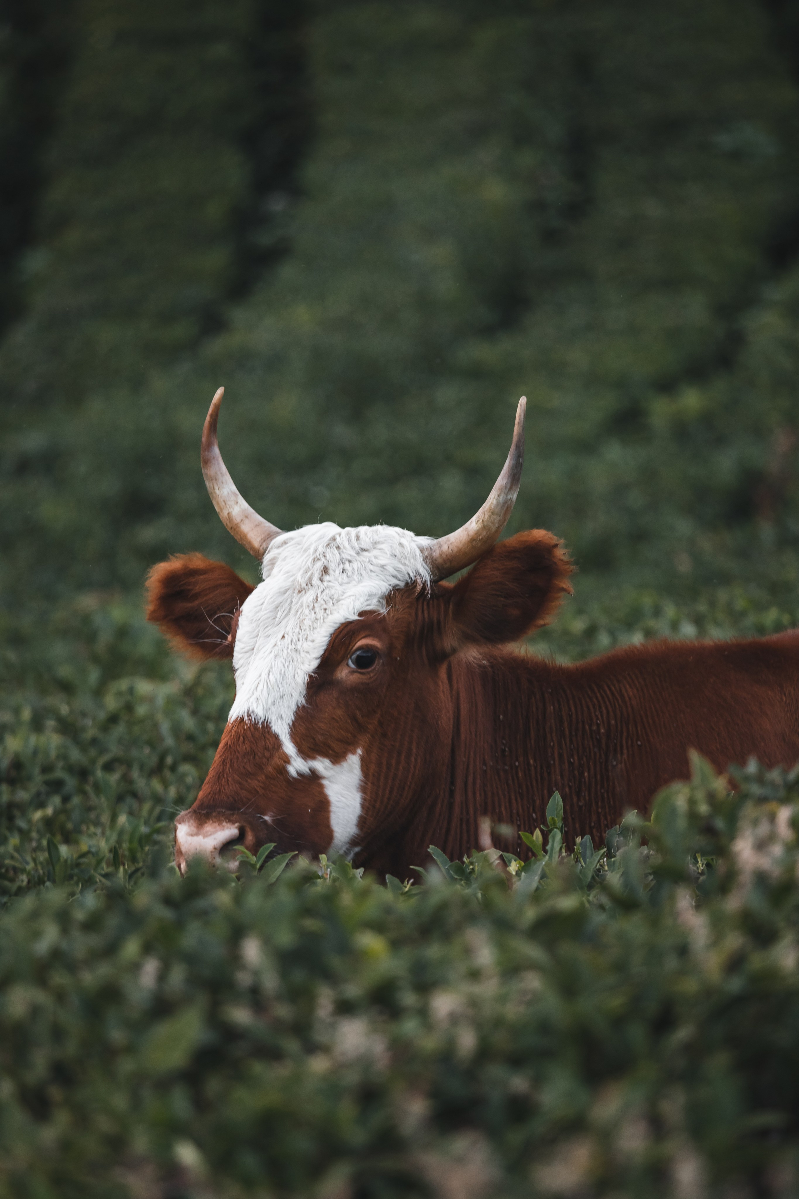ПРИРОДА. Фотограф Александр Бормотин