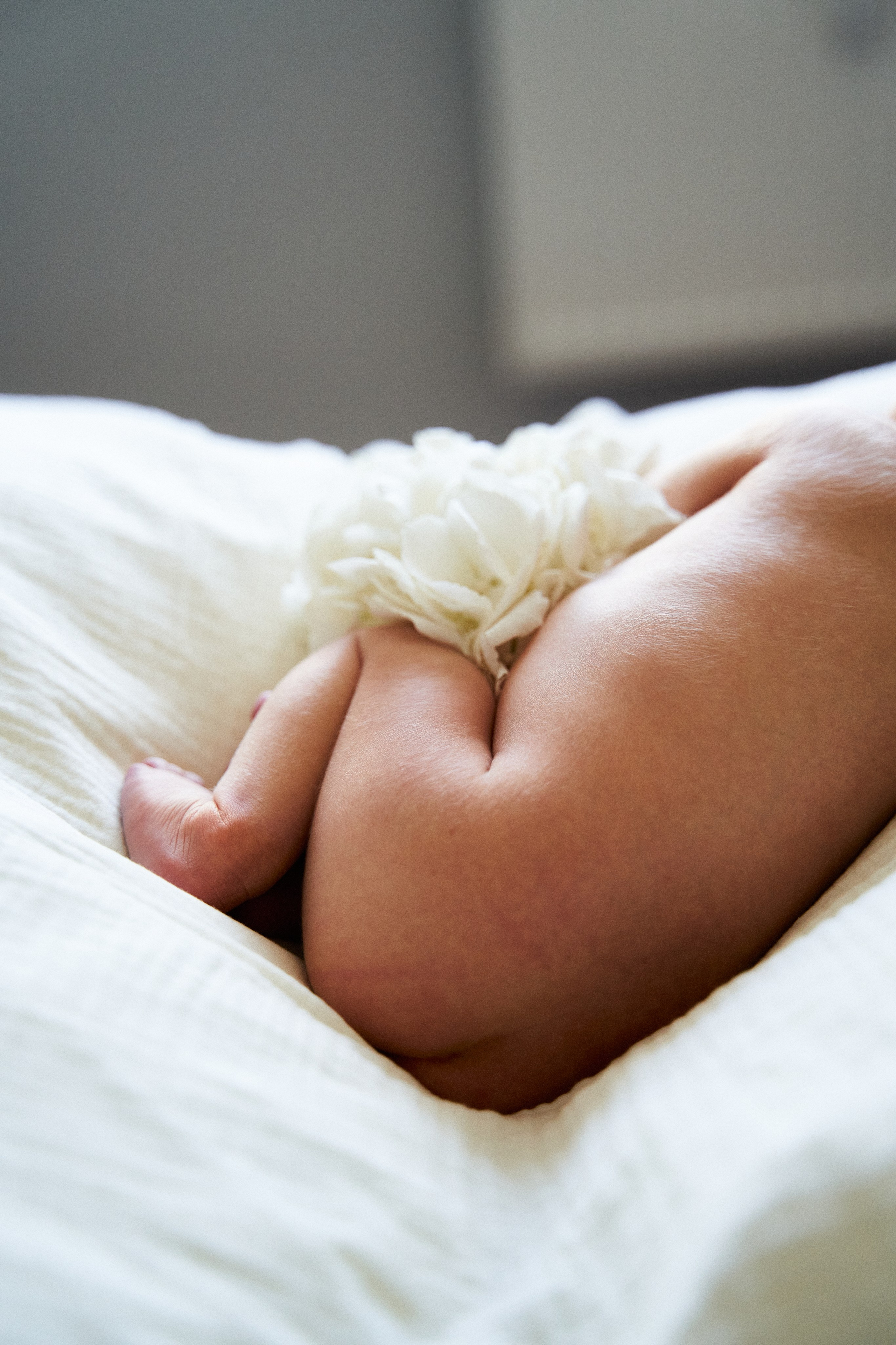 Семейная. Семейный фотограф в городе Надым Наталья Жигунова