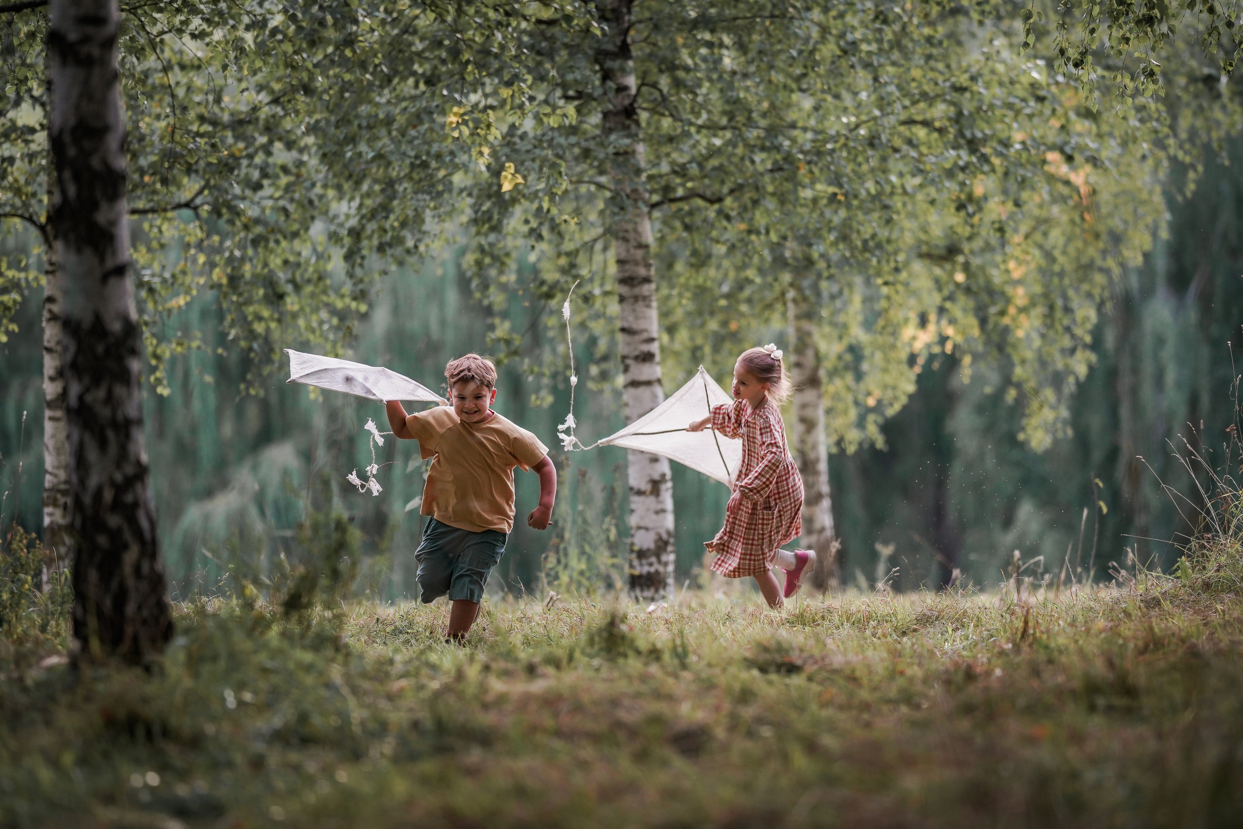 Воздушный змей. Семейный фотограф Ефремова Виктория