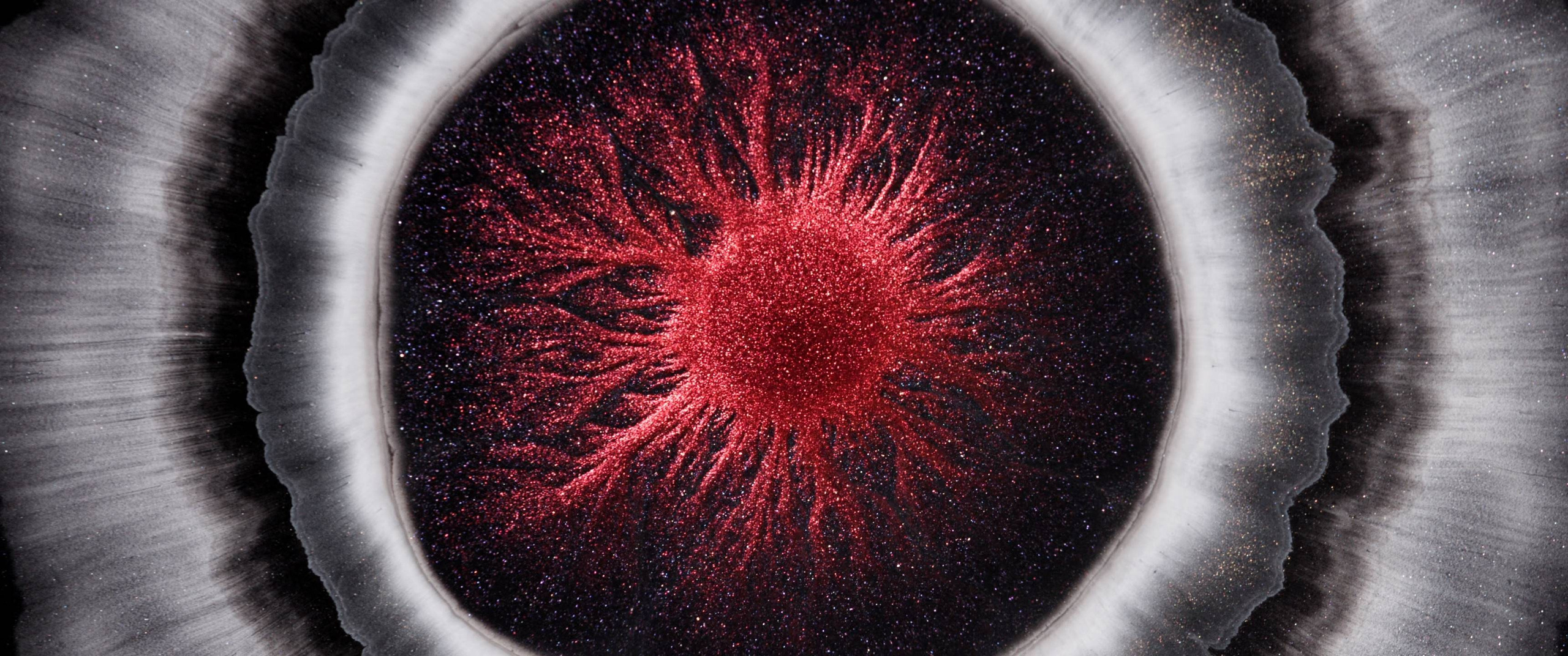 Genesis. Short films by Vadim Sherbakov