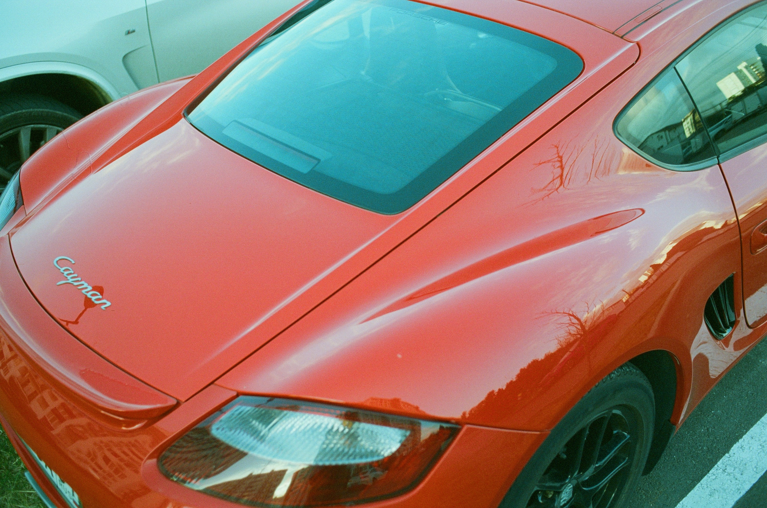 Игорь Мальченков