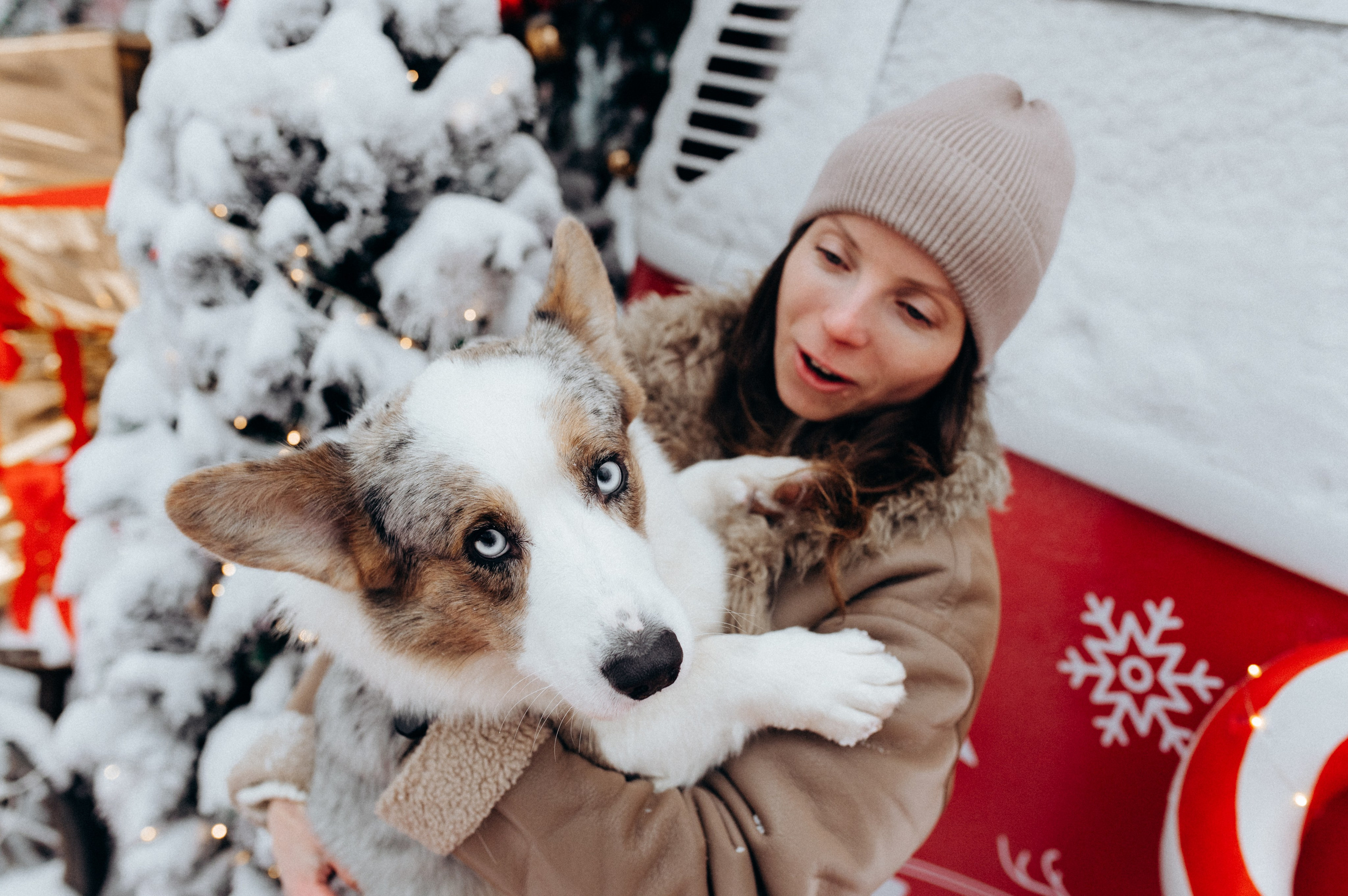 Маша и Дэф. Фотограф анималист в Москве Ольга Агушева
