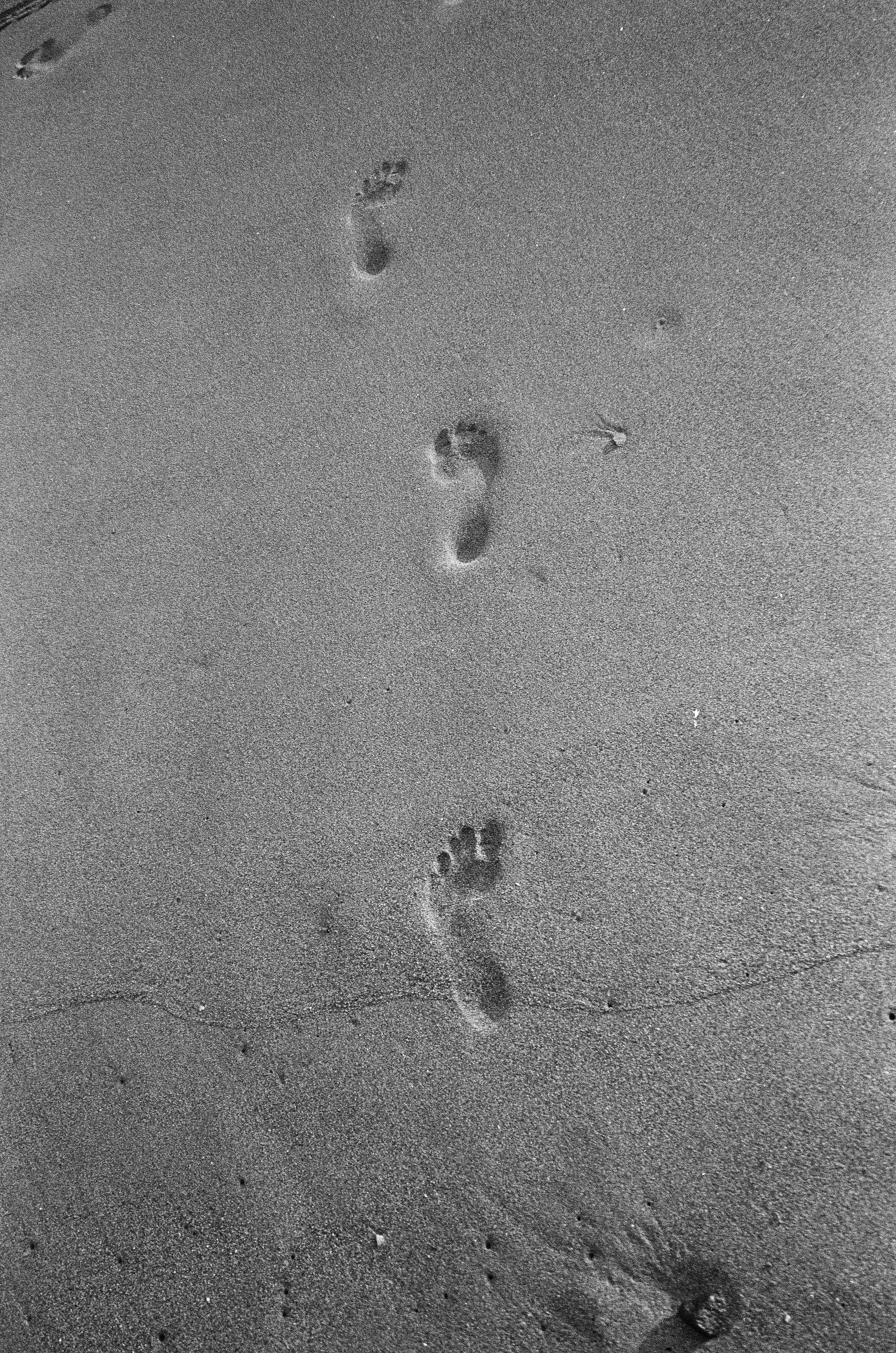 Who u are?. Carolinetru