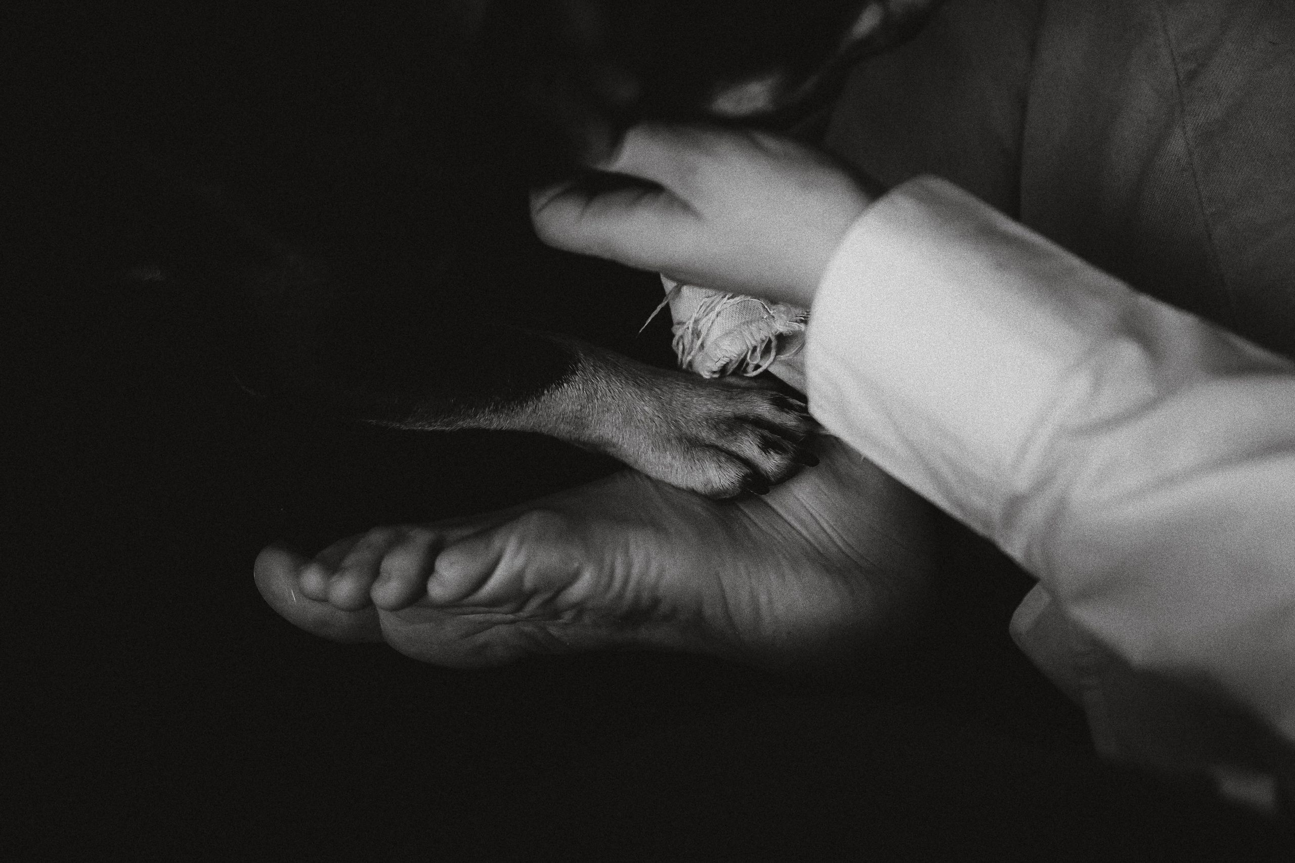 Юля, Мия и Зек