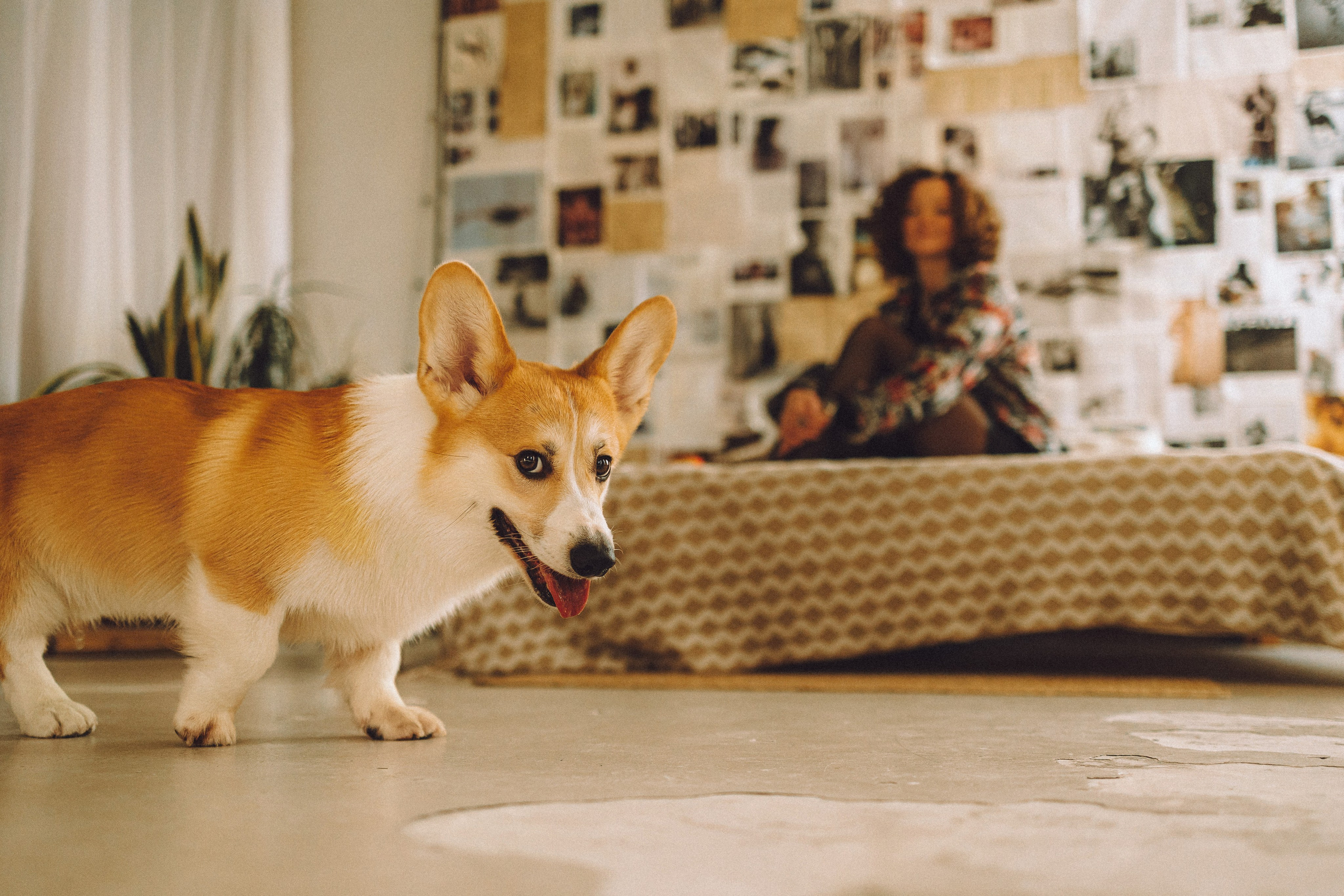 Наталья, Евгений и Мерлин