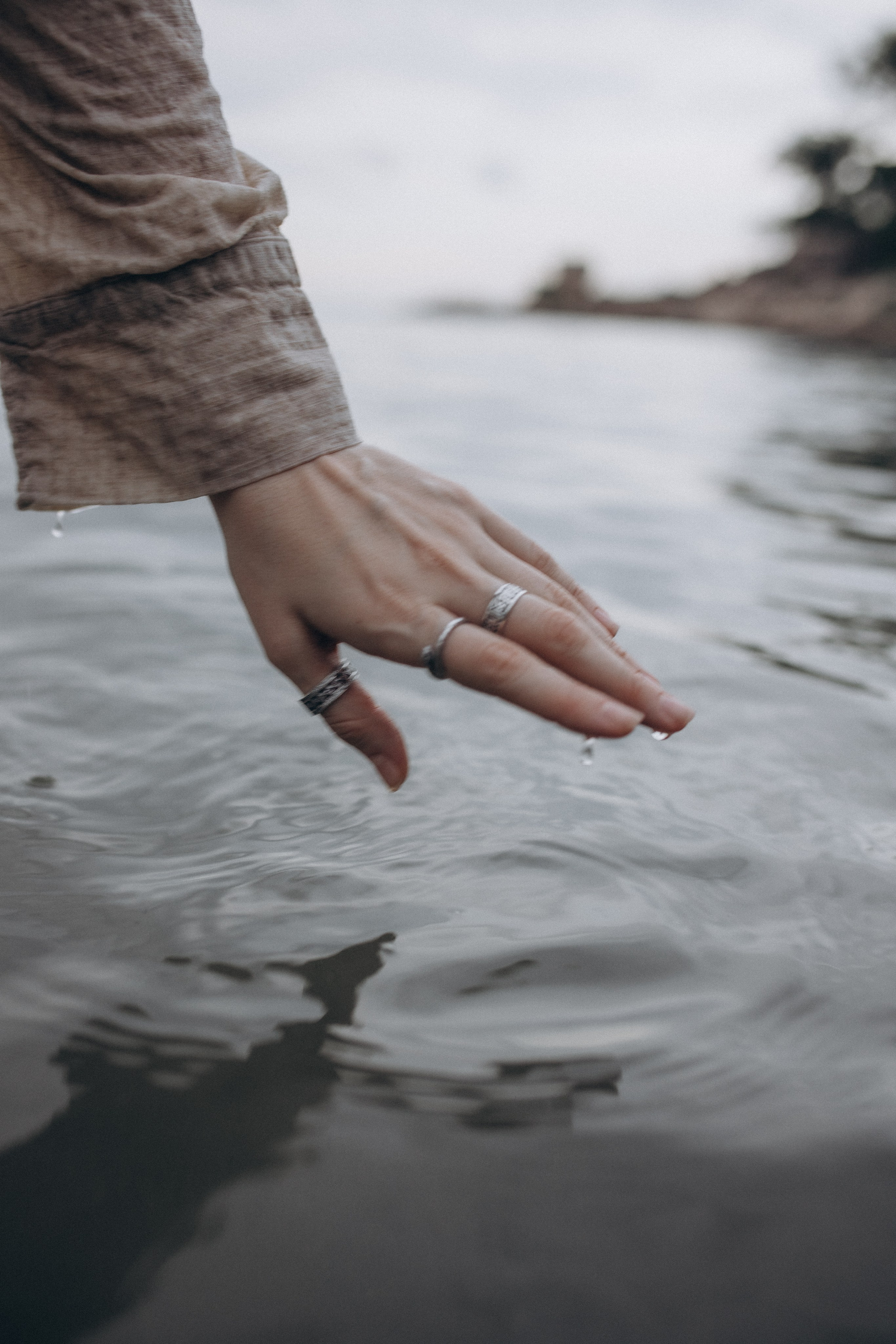 Лилия «сад камней» Вьетнам. Главная