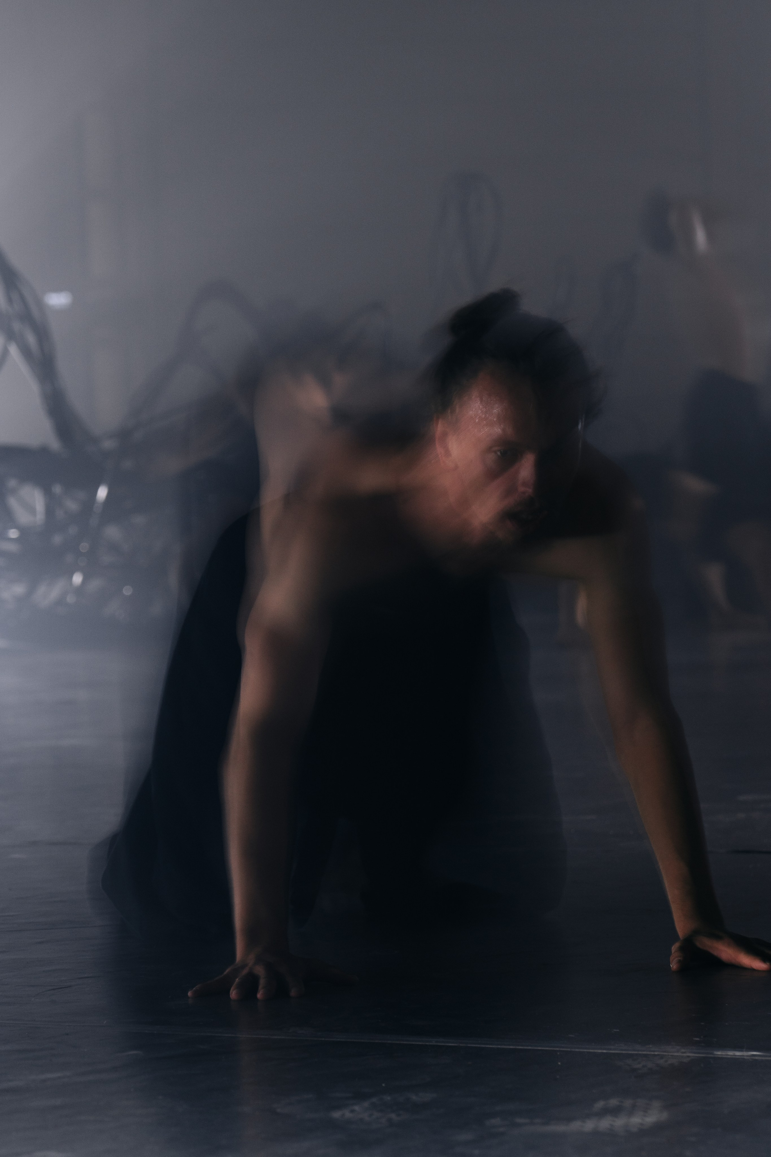 PERFORMA, The Hour of the Horse. @tomrus: Рустам Шагиморданов — фотограф