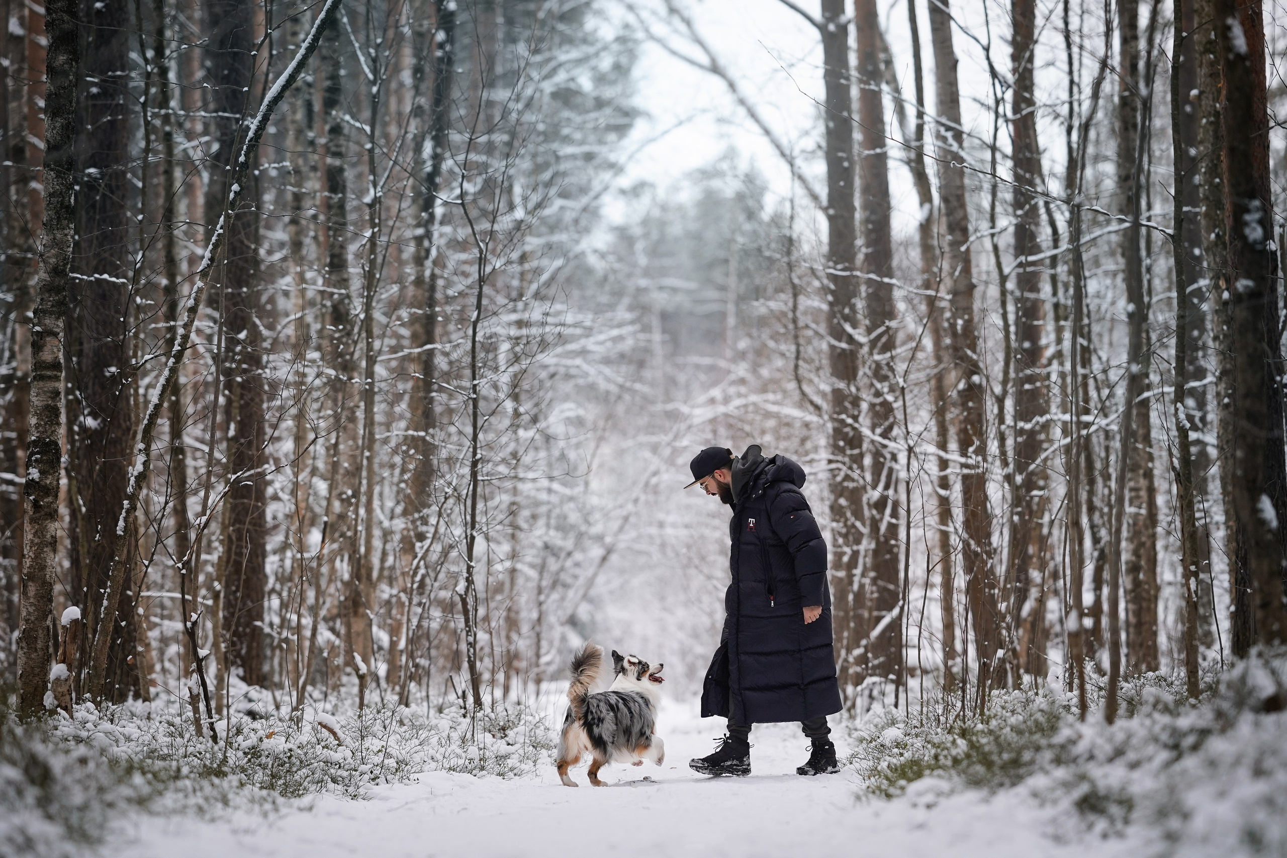 Антон Аиша и Римус. Фотограф-анималист в Санкт-Петербурге Яна Мартынова