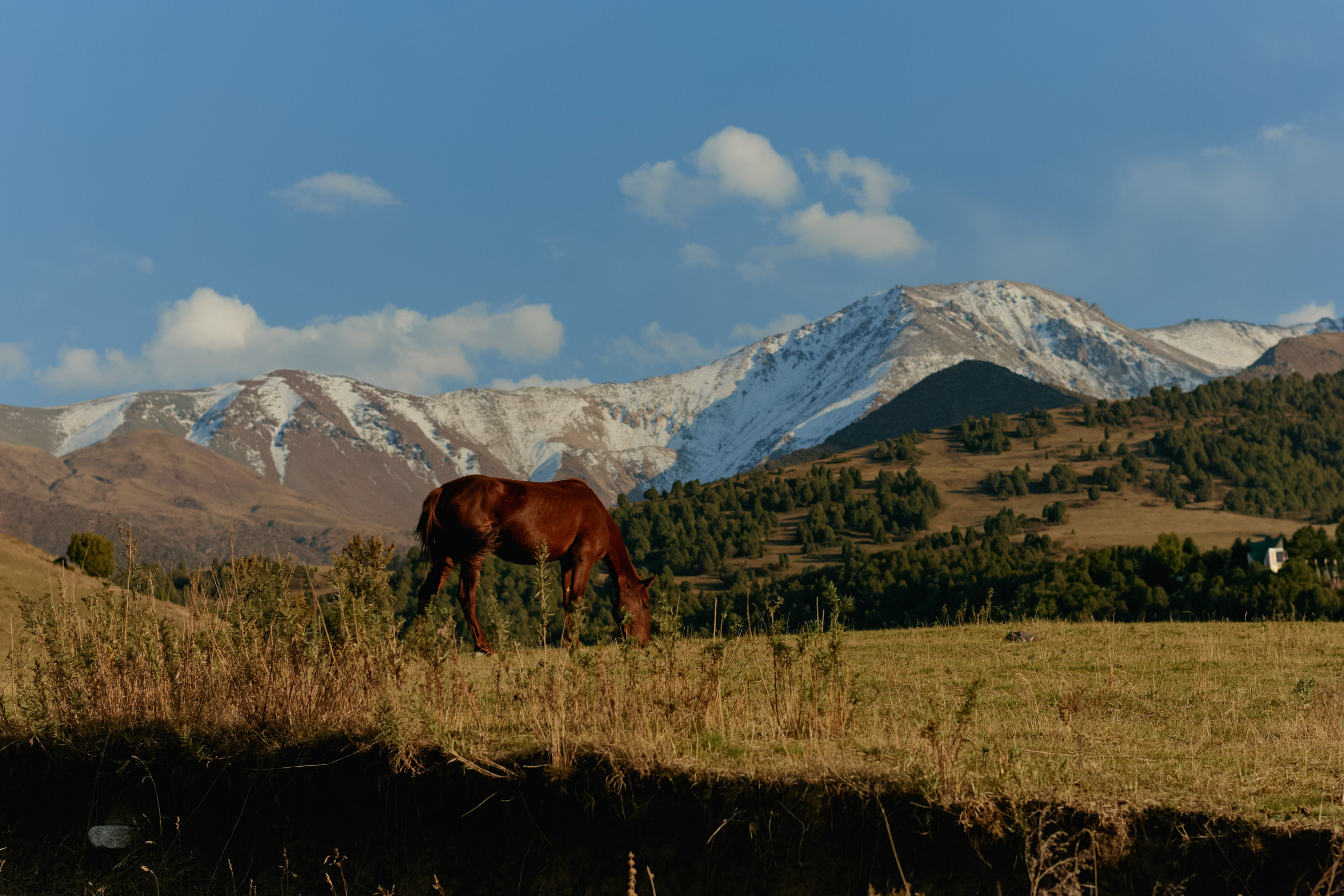 Кыргызтан. Профессиональный Фотограф во Владимире, в Москве и в Суздале — Полина Романычева