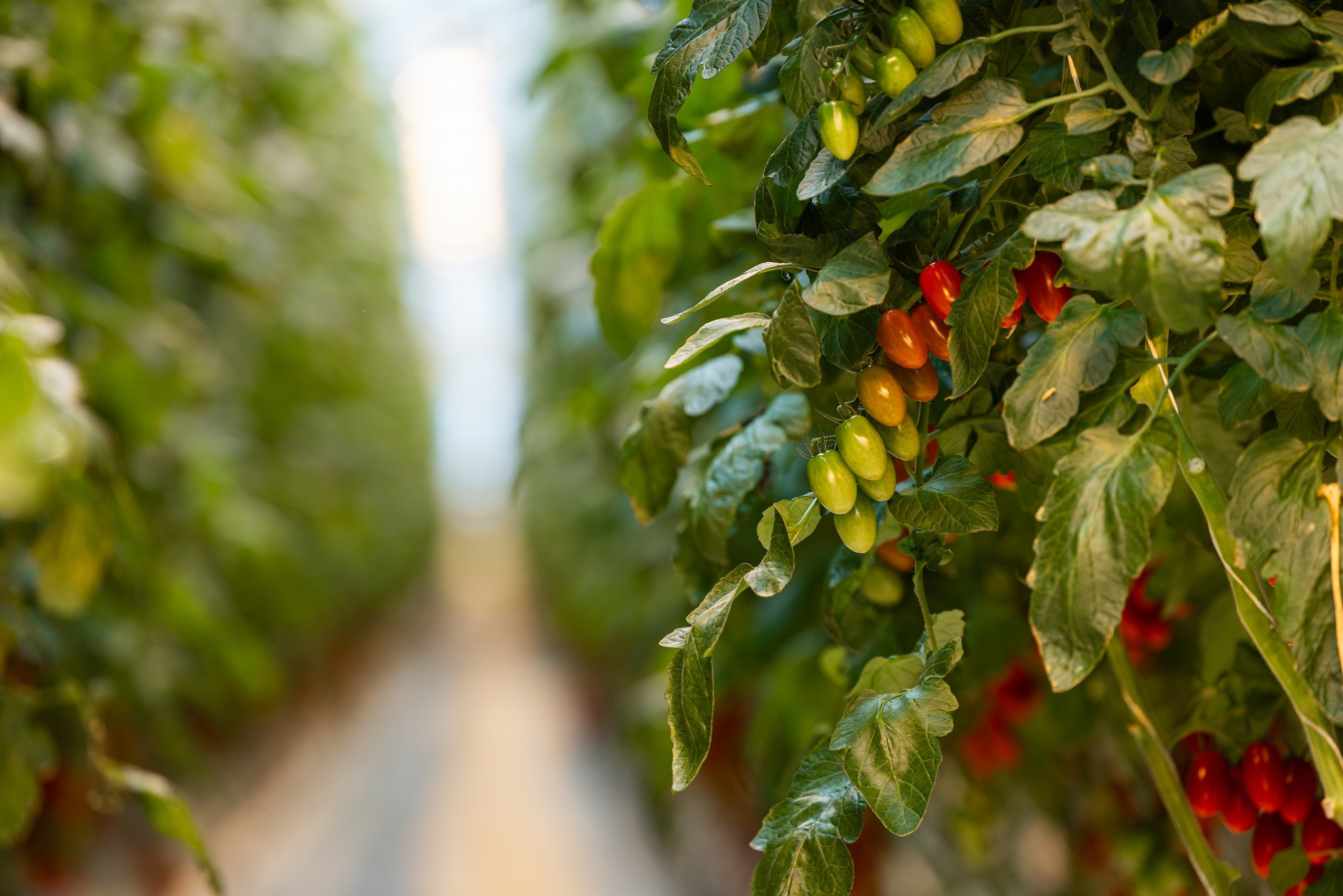 Производство. Фотограф Николай Петрушкин | Ставрополь, Москва