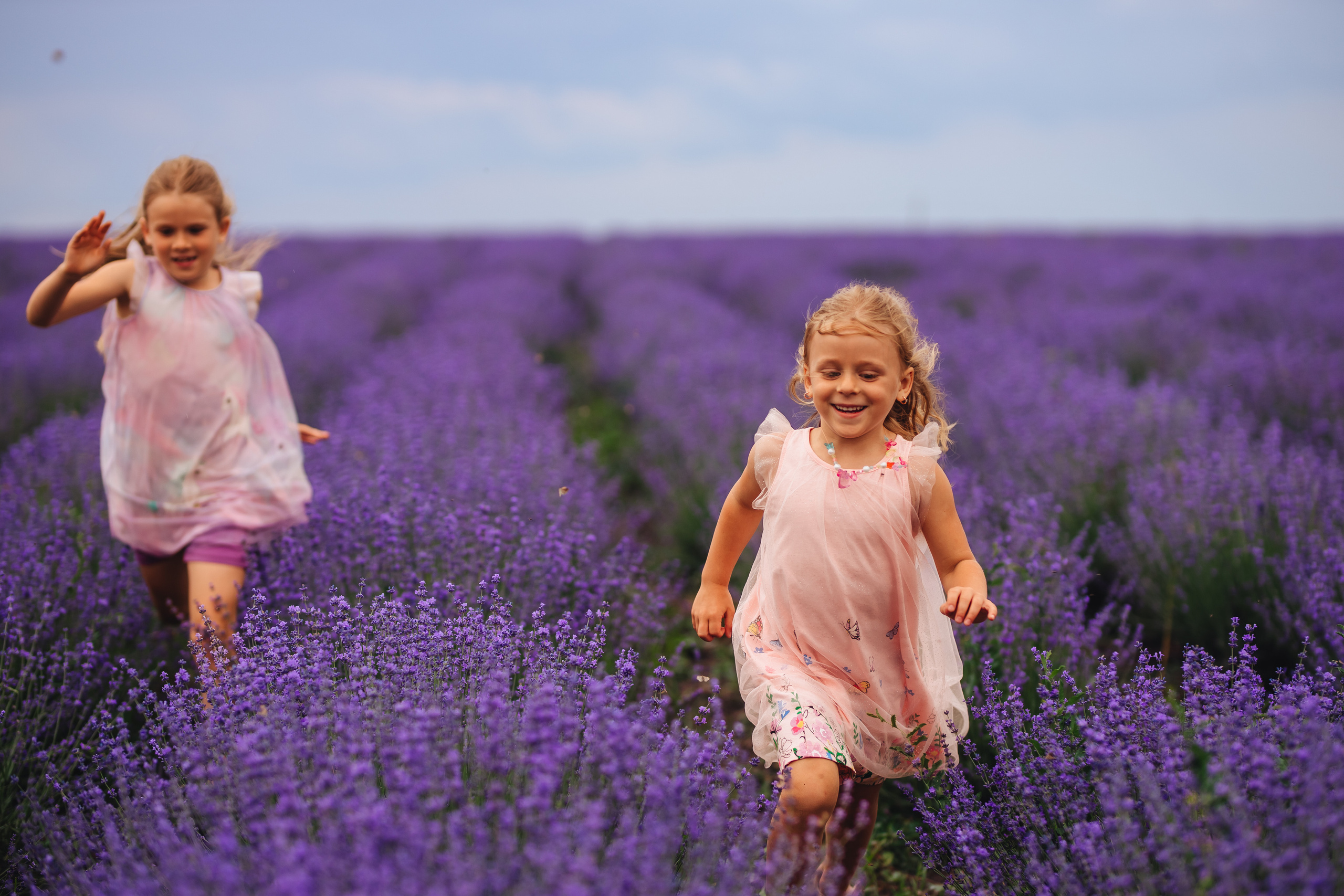 В лаванде. Свадебный и портретный фотограф — Мария Костина