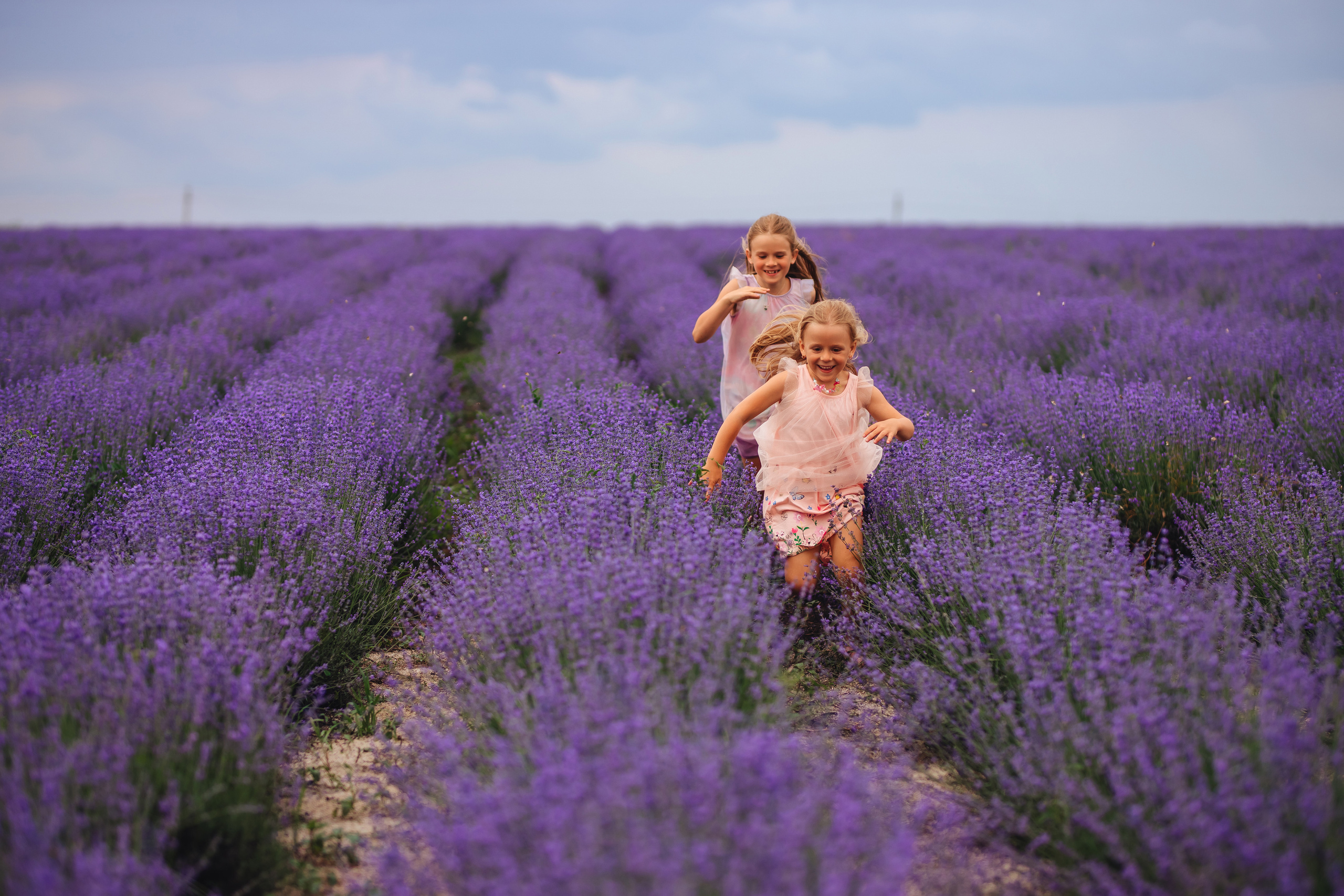 В лаванде. Свадебный и портретный фотограф — Мария Костина