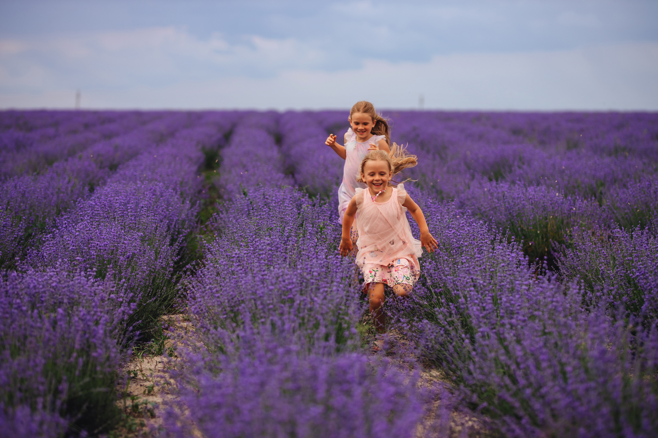 В лаванде. Свадебный и портретный фотограф — Мария Костина