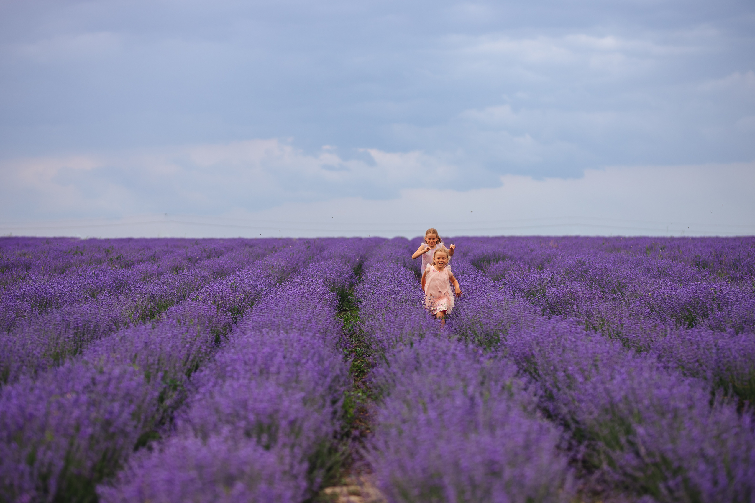 В лаванде. Свадебный и портретный фотограф — Мария Костина