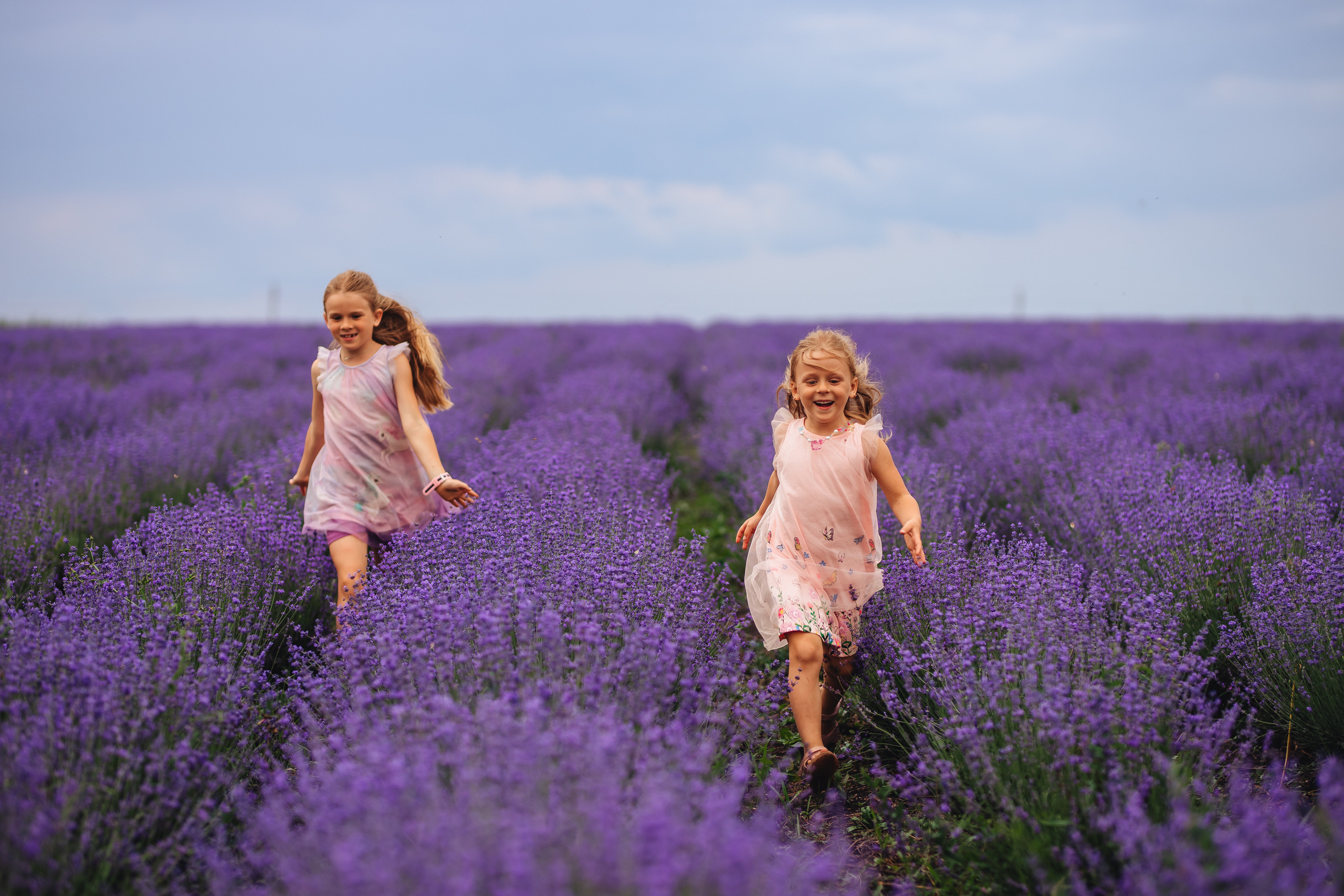 В лаванде. Свадебный и портретный фотограф — Мария Костина