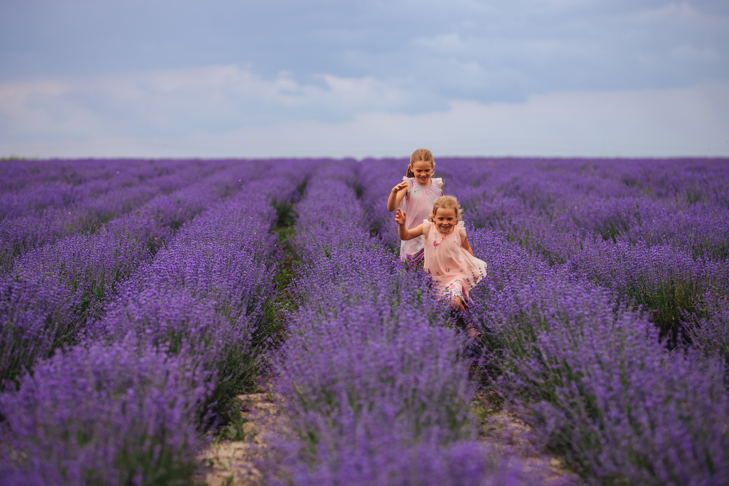 В лаванде. Свадебный и портретный фотограф — Мария Костина