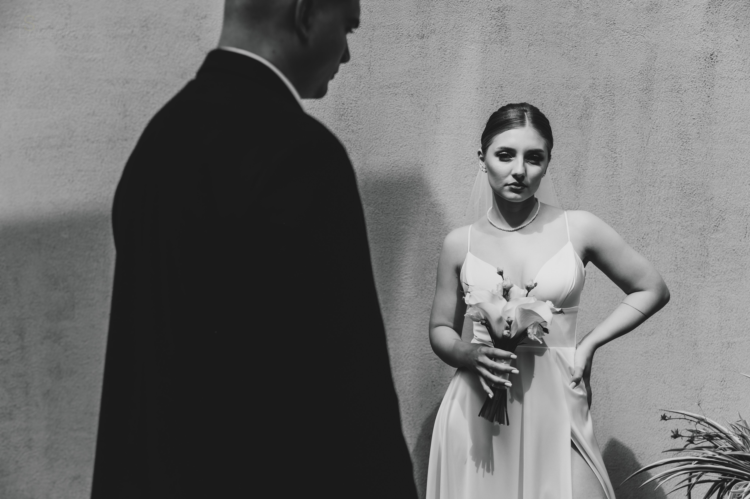 V & E. Фотограф Тольятти, Самара Домненко Светлана