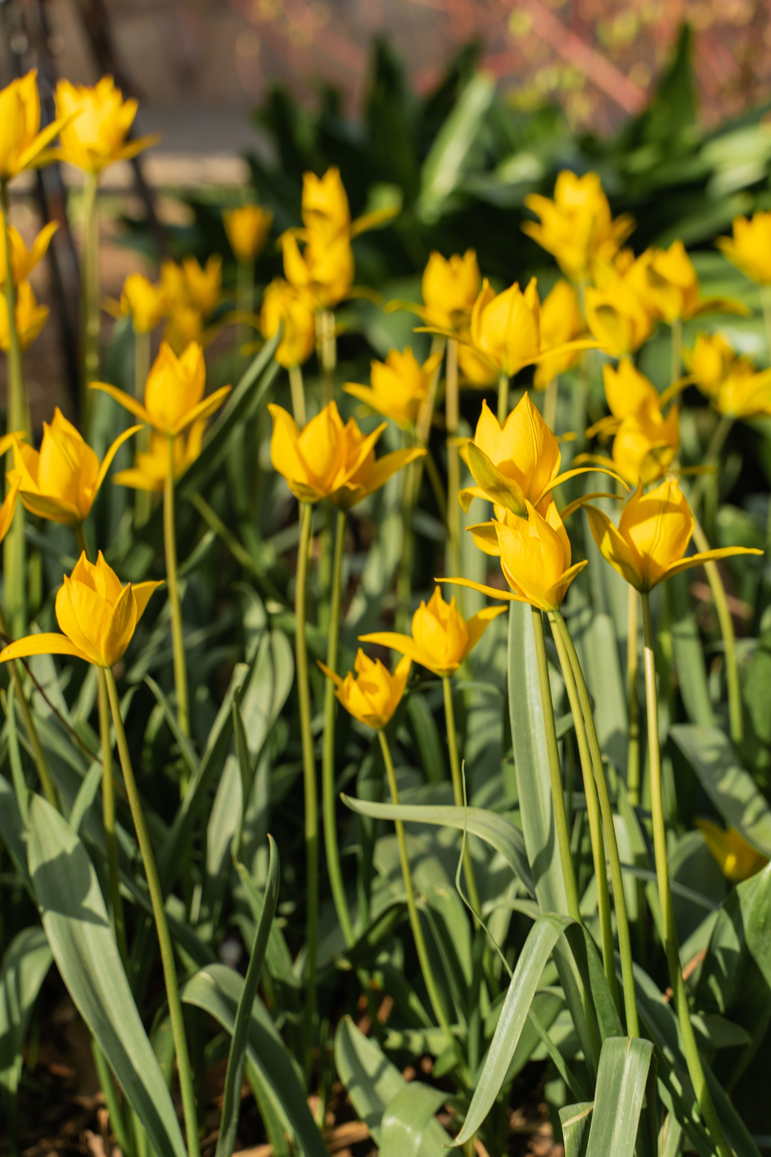 Моменты. Главная