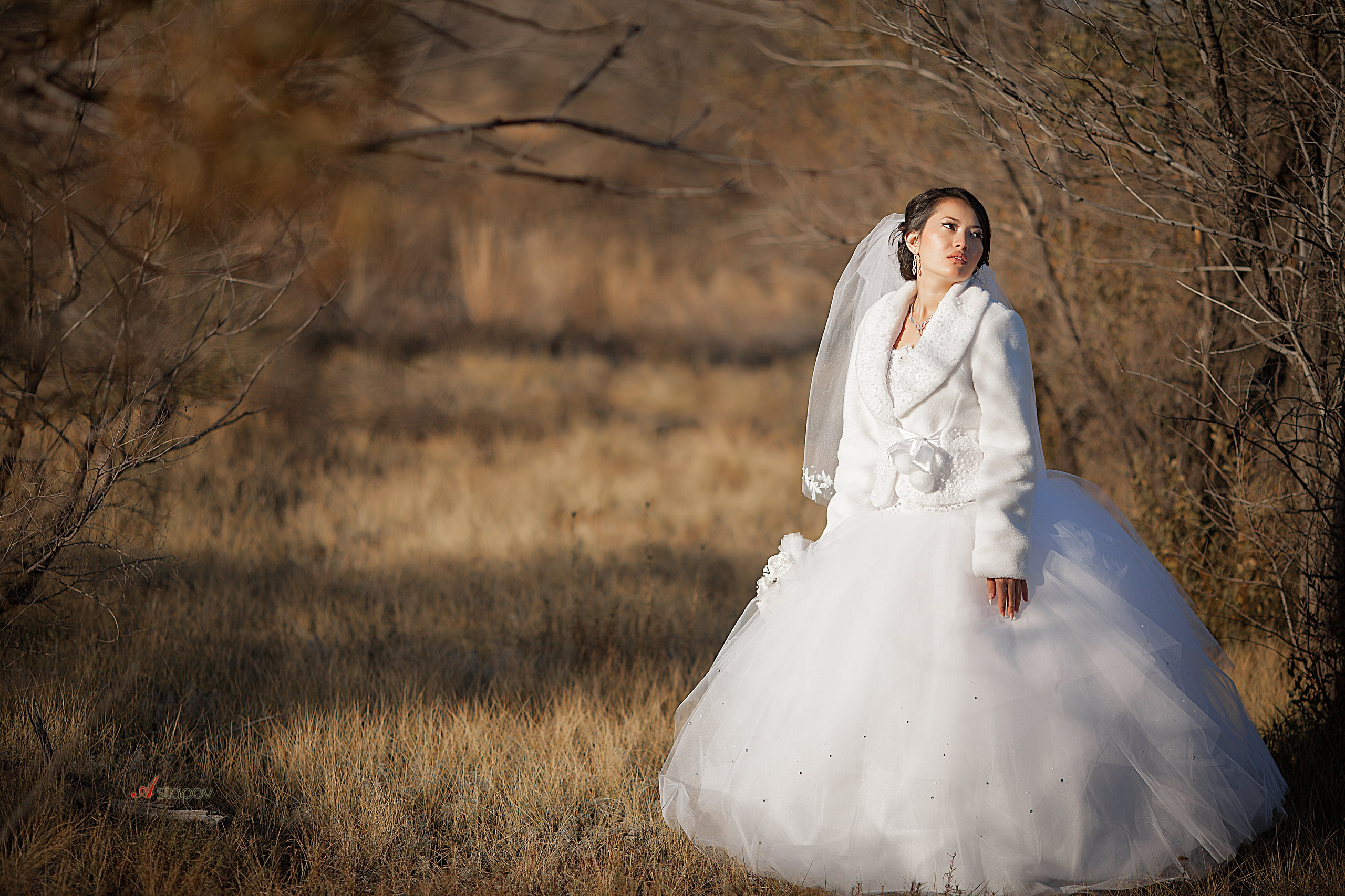 Азамат и Айка в Экибастузе. Семейный и Свадебный фотограф в Астане Александр Астапов