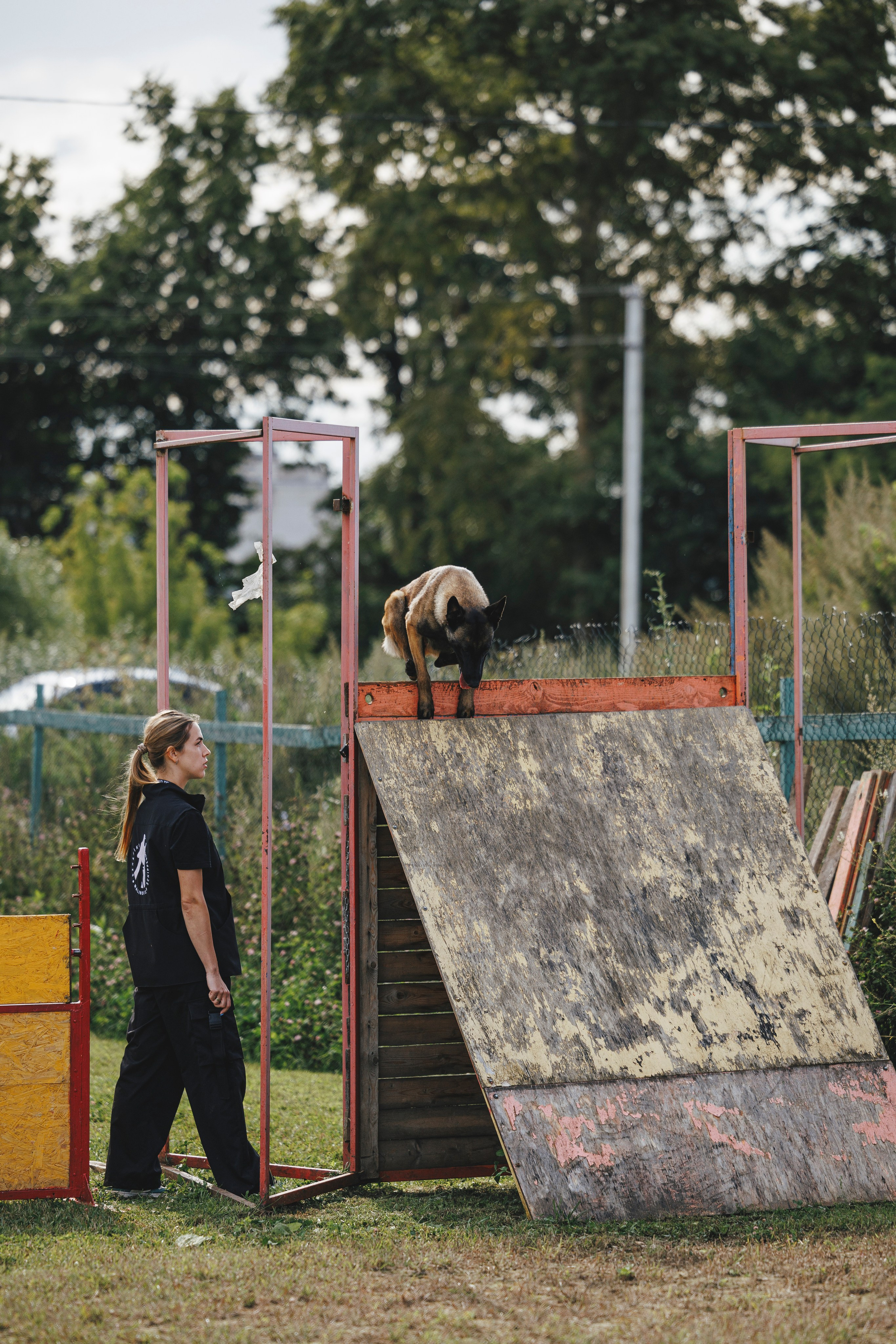08.08.25-10.08.25 ЧР по мондьорингу г. Вологда. Фотограф-анималист Анна Маринич
