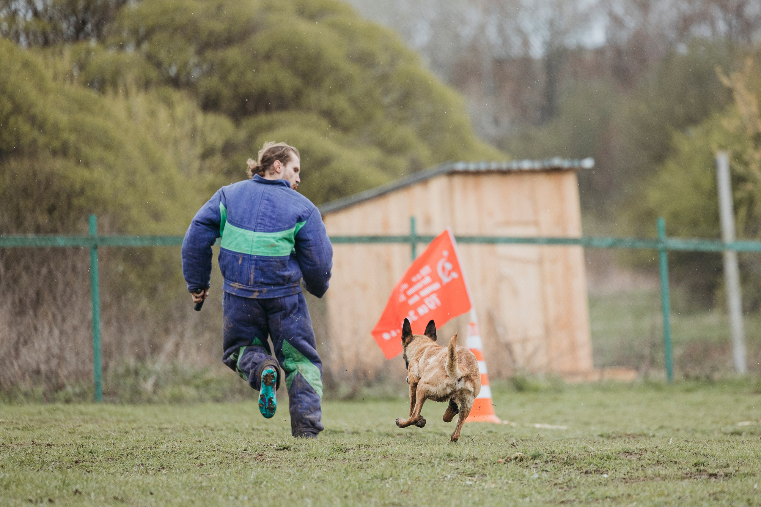 09.05.25 Вологда соревнования. Фотограф-анималист Анна Маринич