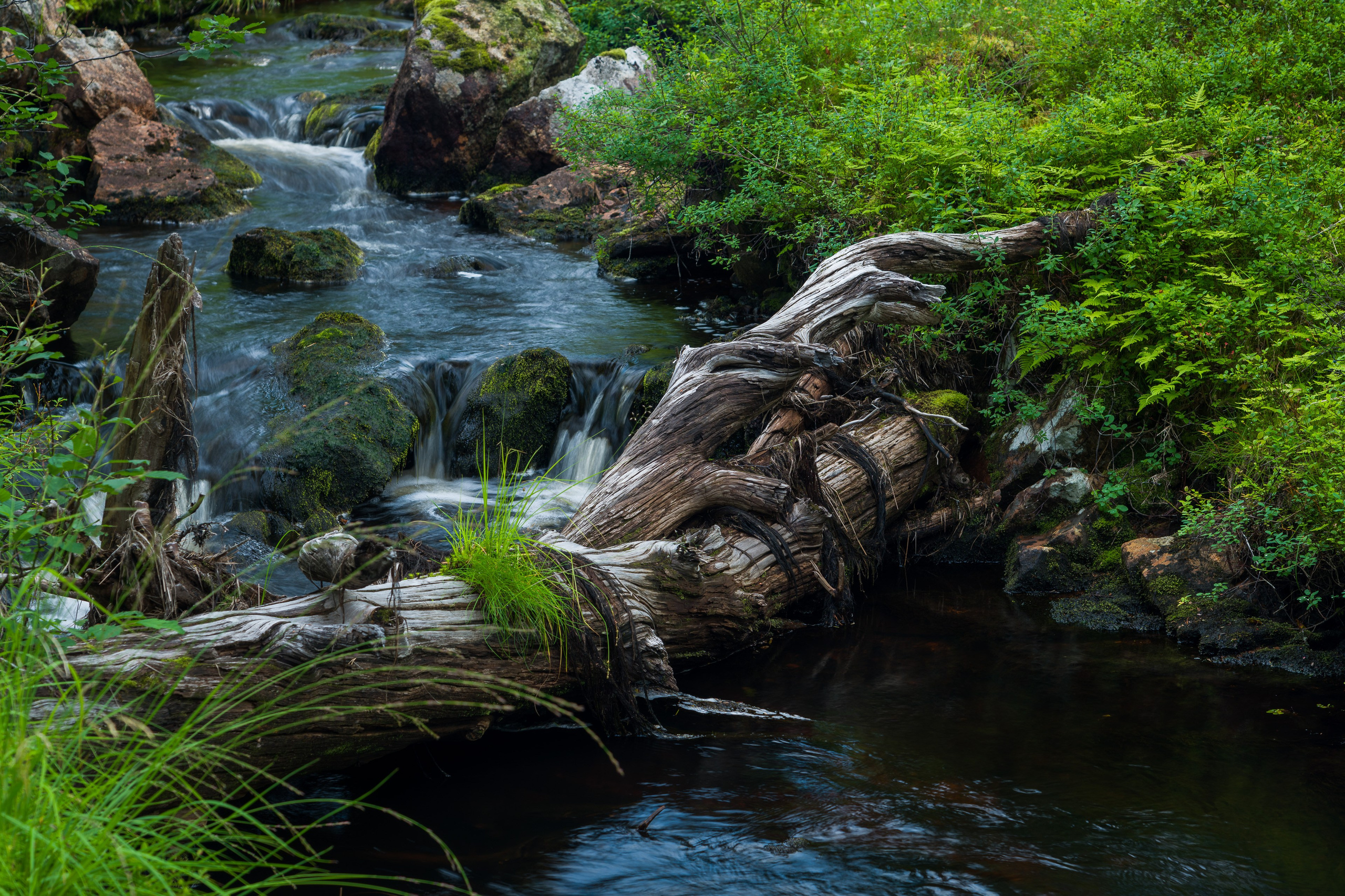 Лето. Северные Ночи