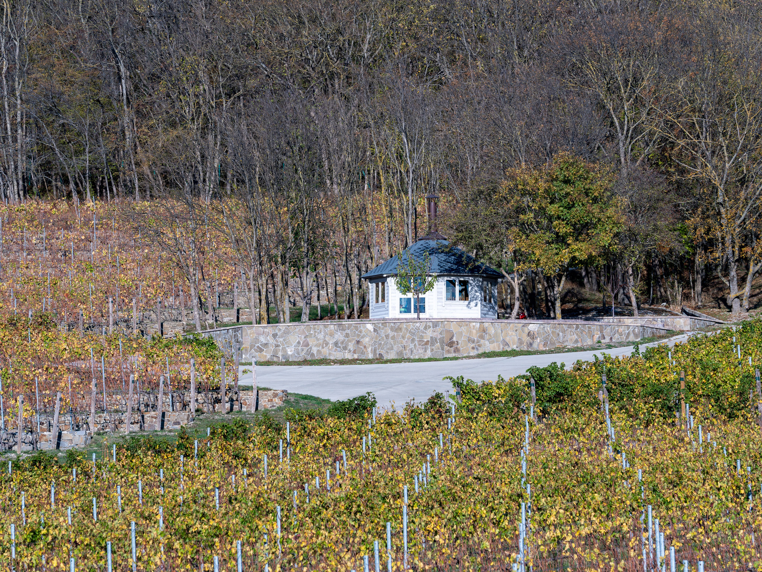 Литературная мастерская с Ольгой Шутовой в «Винотеррии». Репортажный фотограф в Красной Поляне и Сочи Павлюченко Екатерина