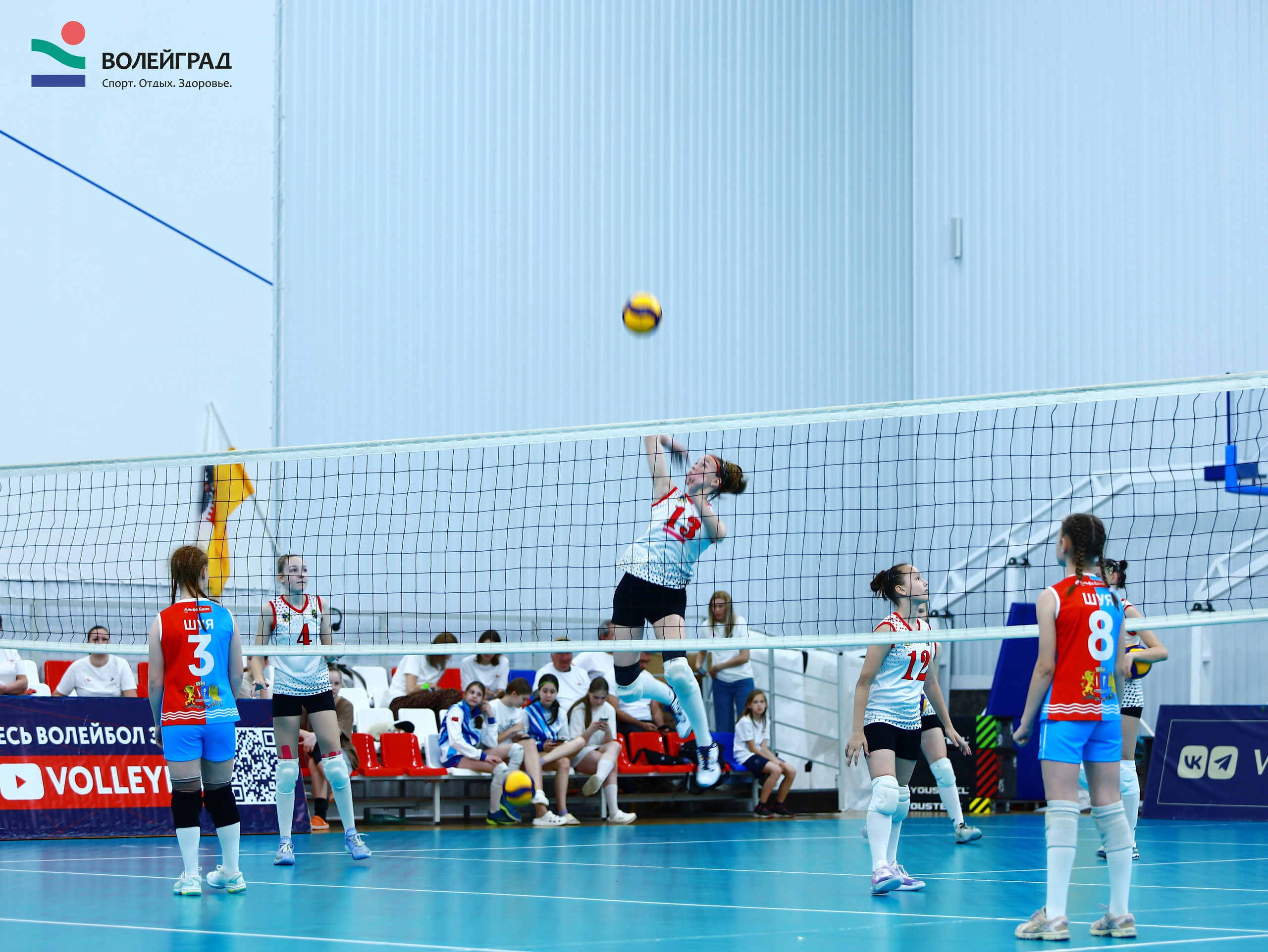 Волейбол ВФВ 21.05.24. Репортажный фотограф Анапа