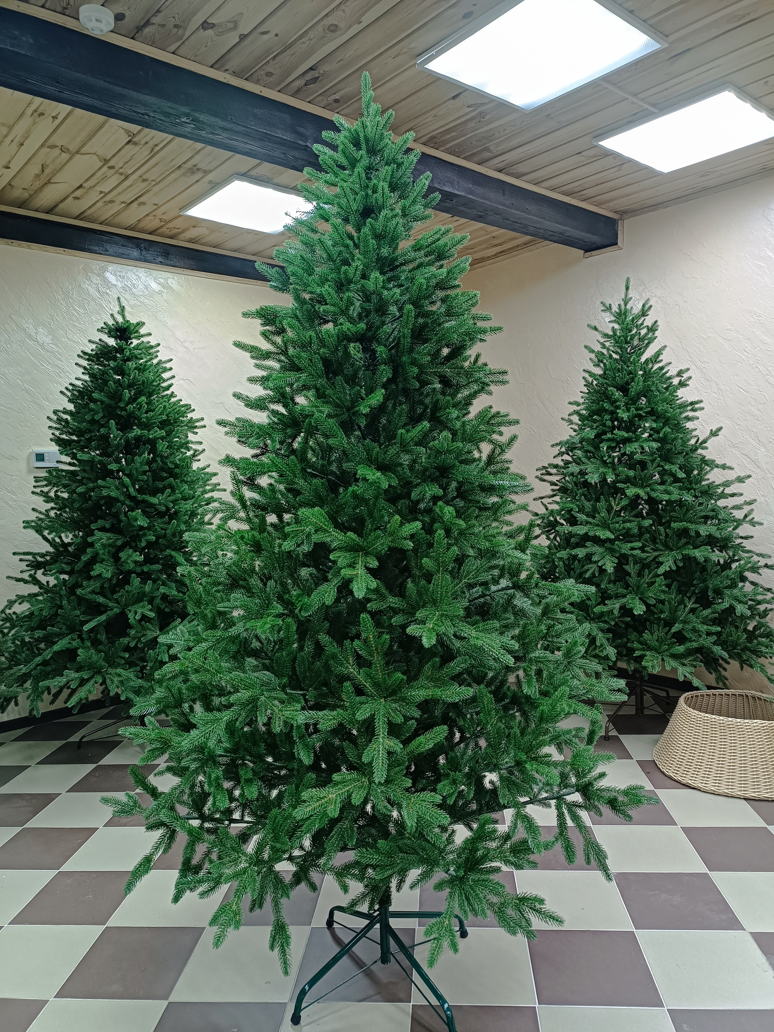 КАВКАЗСКАЯ. Elki_grodno