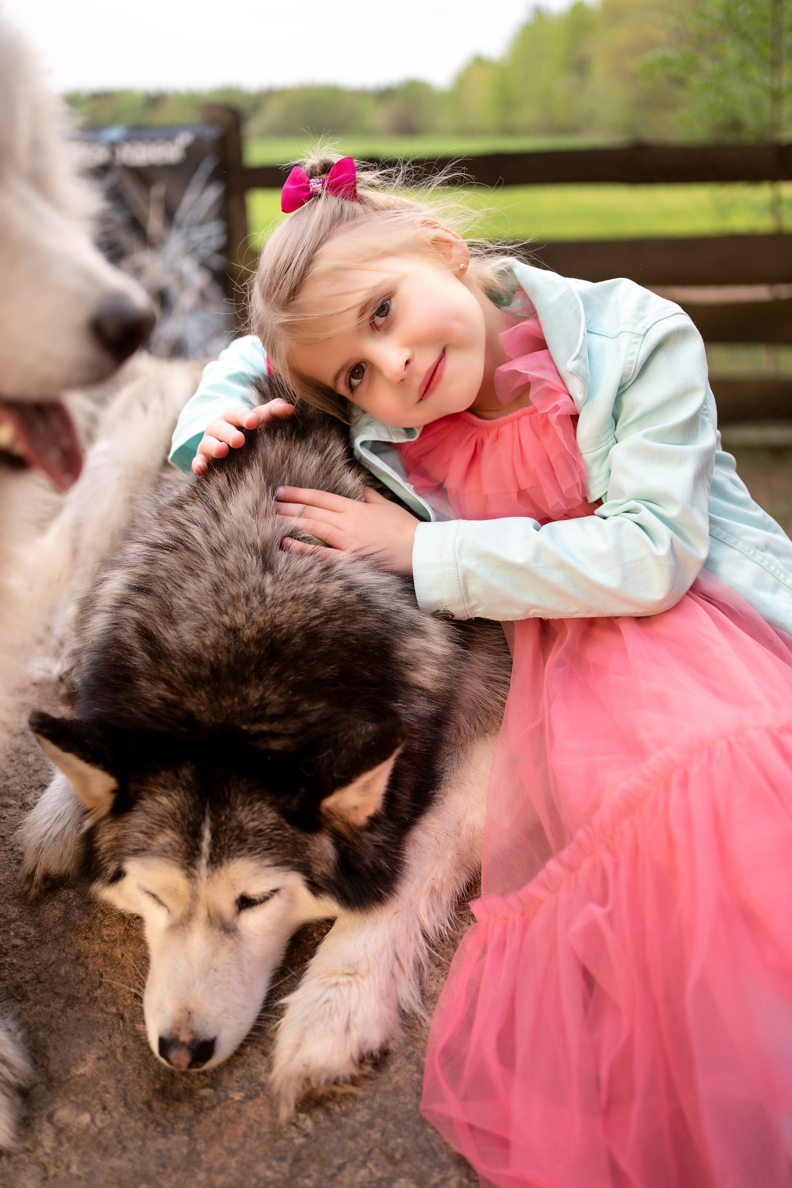 Хаски парк. Семейный и свадебный фотограф Минск, Беларусь Анна Орловская
