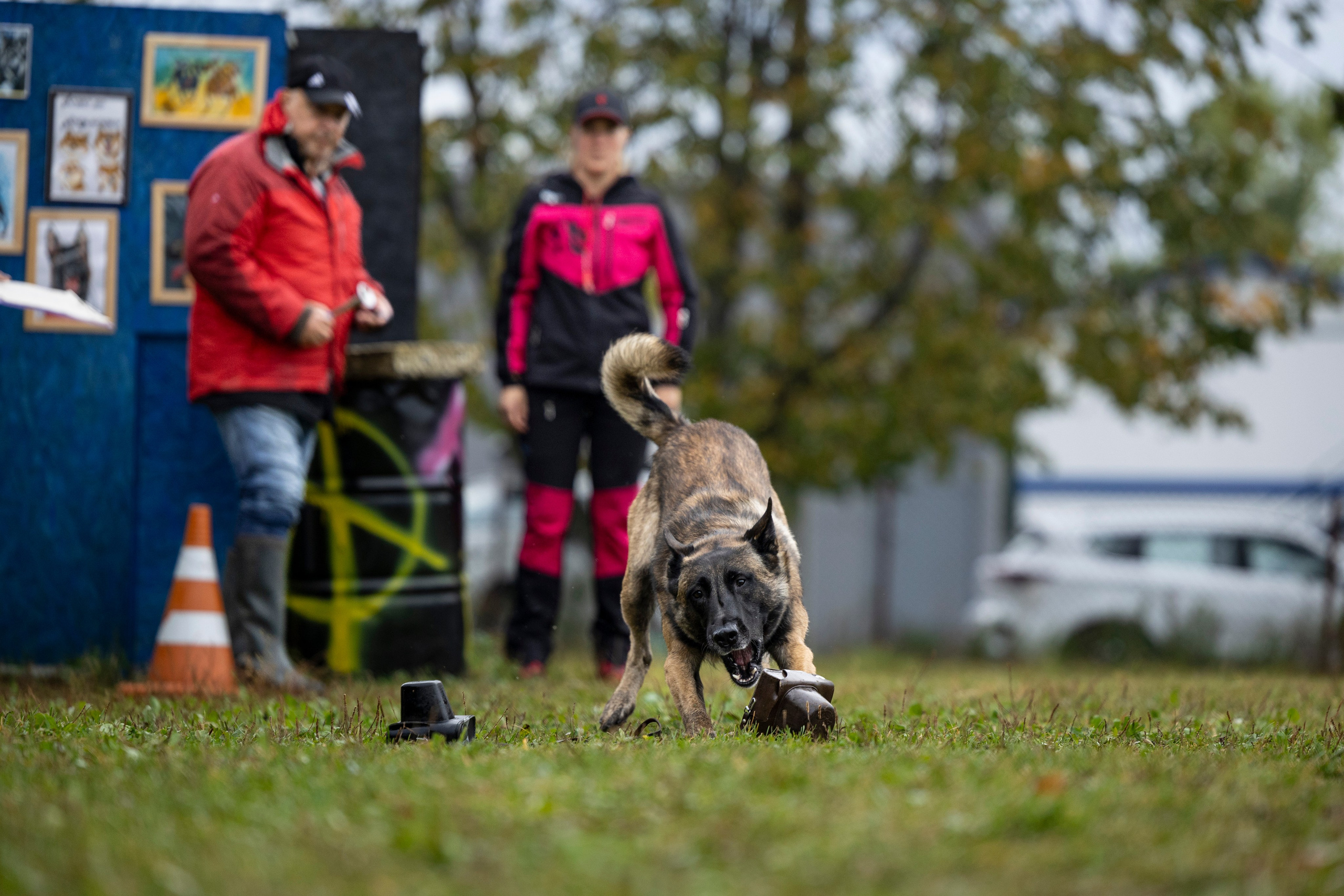 Испытания по Мондьорингу г. Пушкин. Фотограф-анималист Анна Маринич