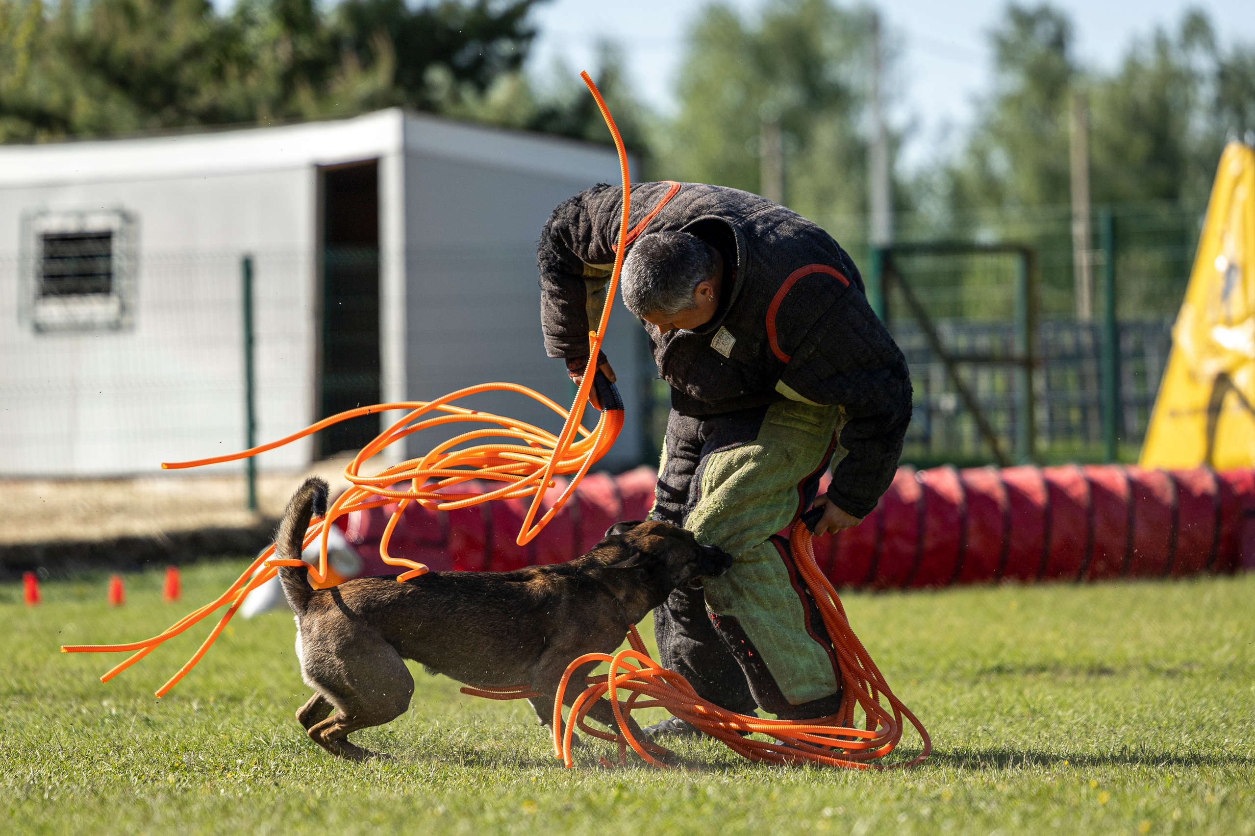 Испытания по мондьорингу в Нижнем Новгороде. Фотограф-анималист Анна Маринич