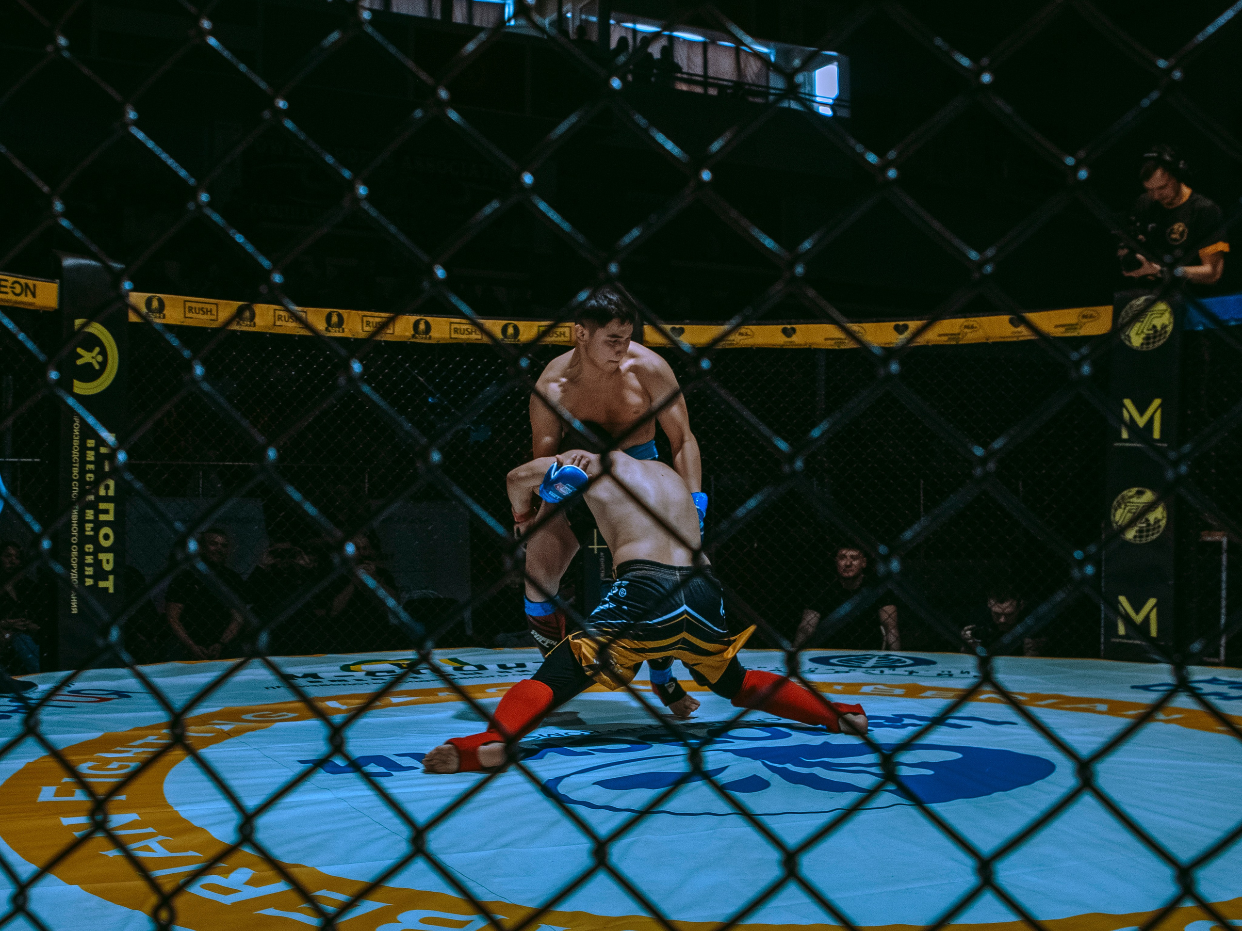 SFL 17 | Siberian Fighting League. Портретный фотограф в Москве Дарья Цезария