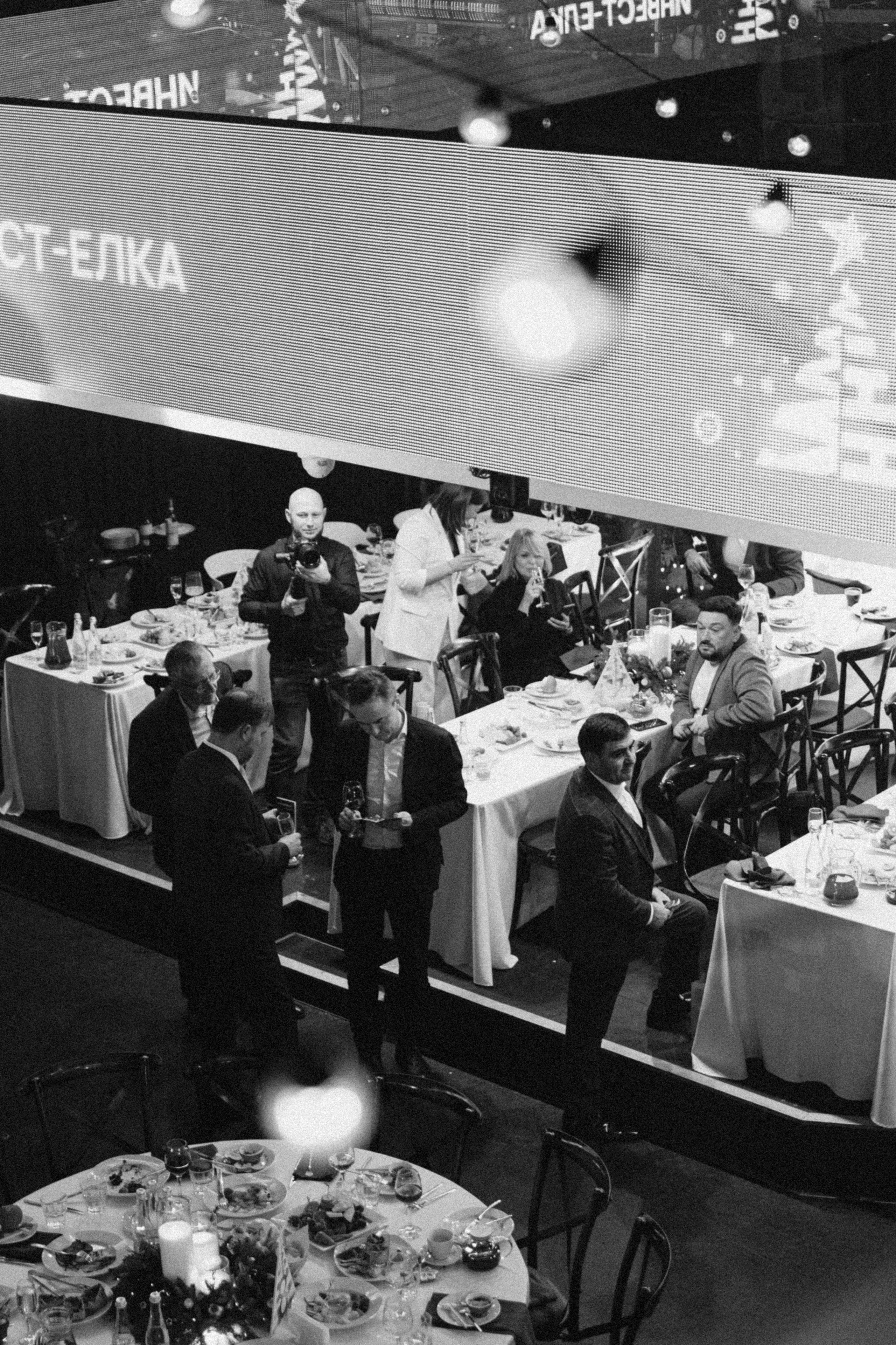 Инвест Ёлка. LEVORIGINAL