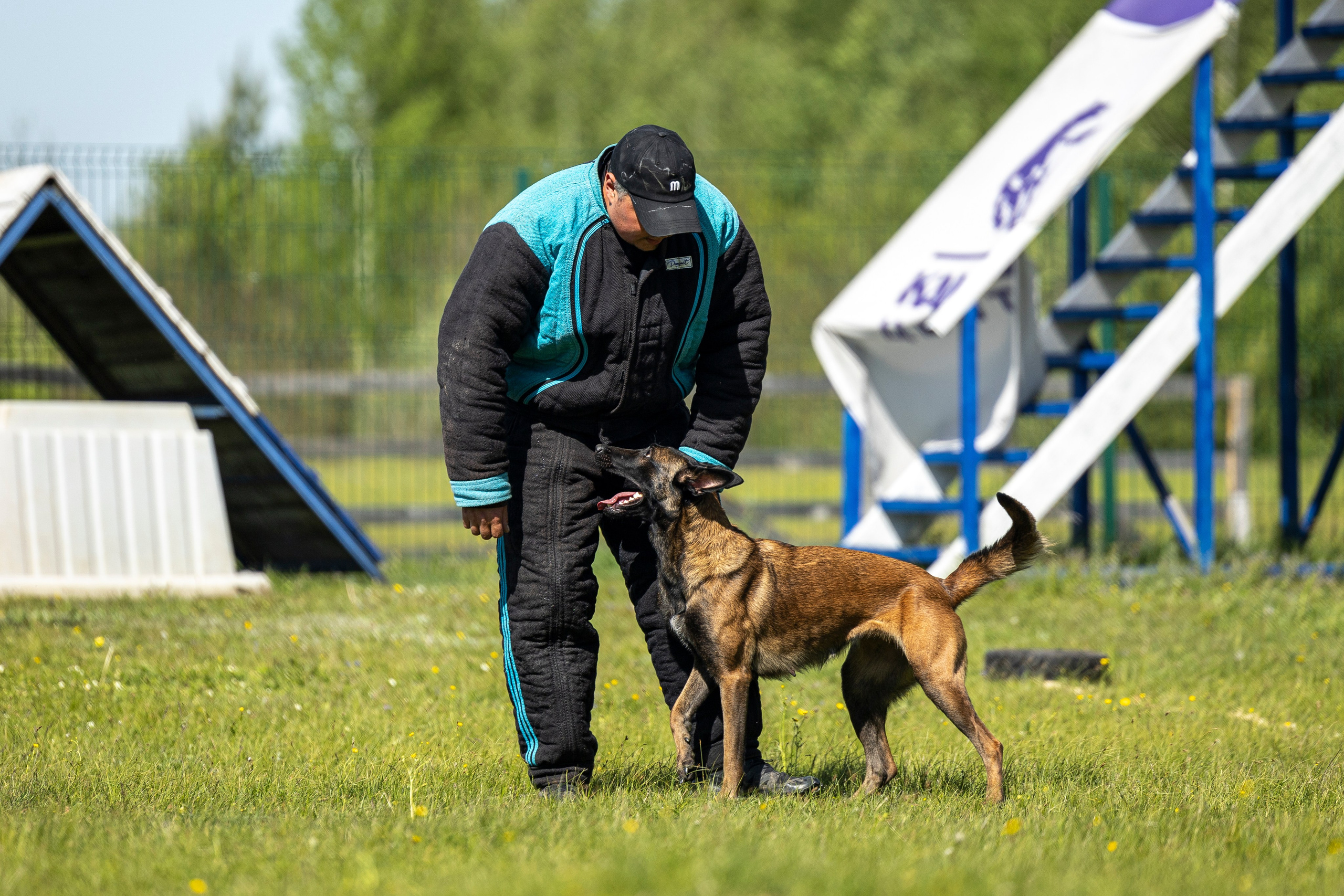 Испытания по мондьорингу в Нижнем Новгороде. Фотограф-анималист Анна Маринич