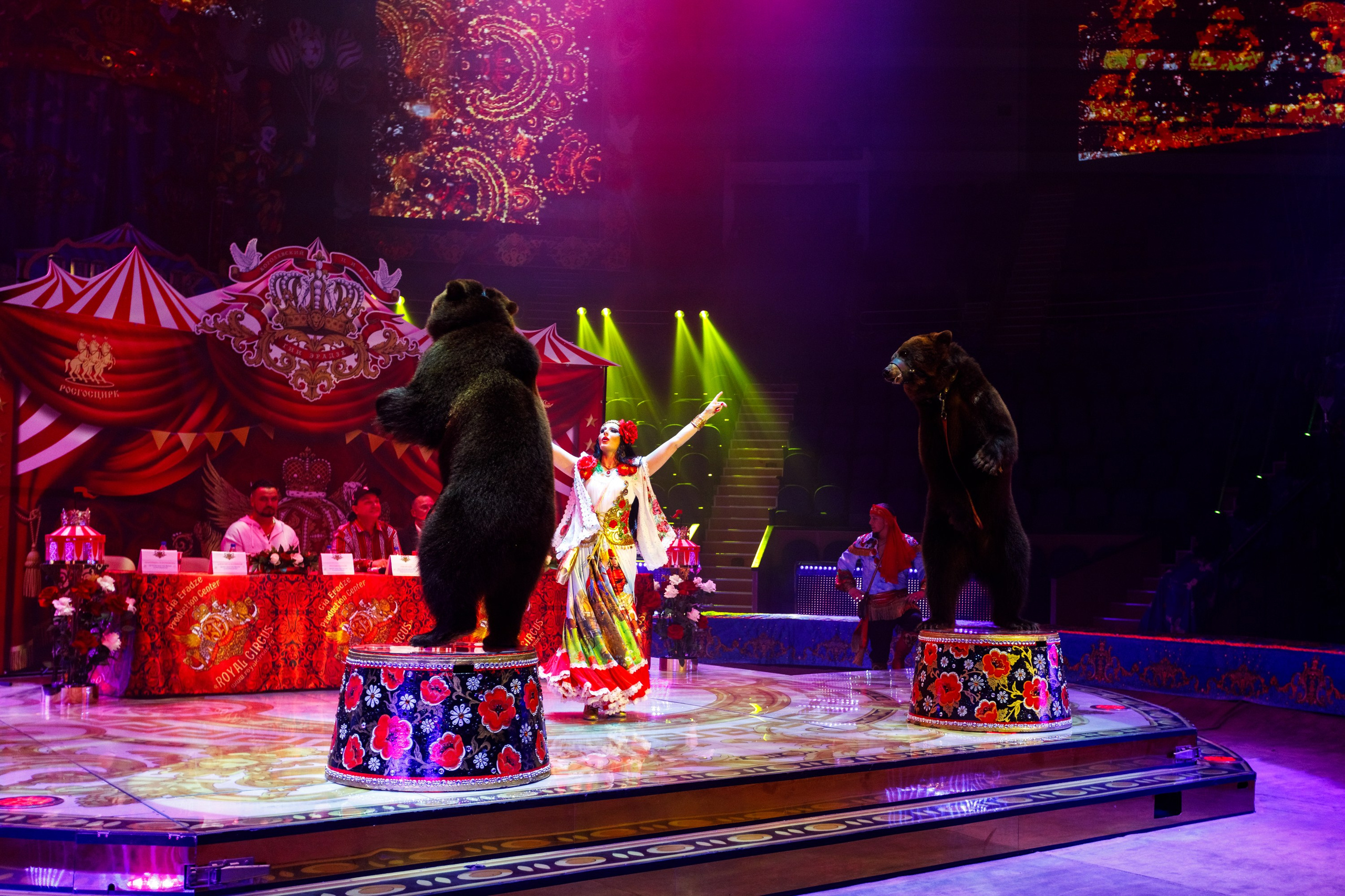 Сочинский росгорцирк Шоу Гии Эрадзе цирк. Профессиональный фотограф в Сочи Виктория Джой. Обучение