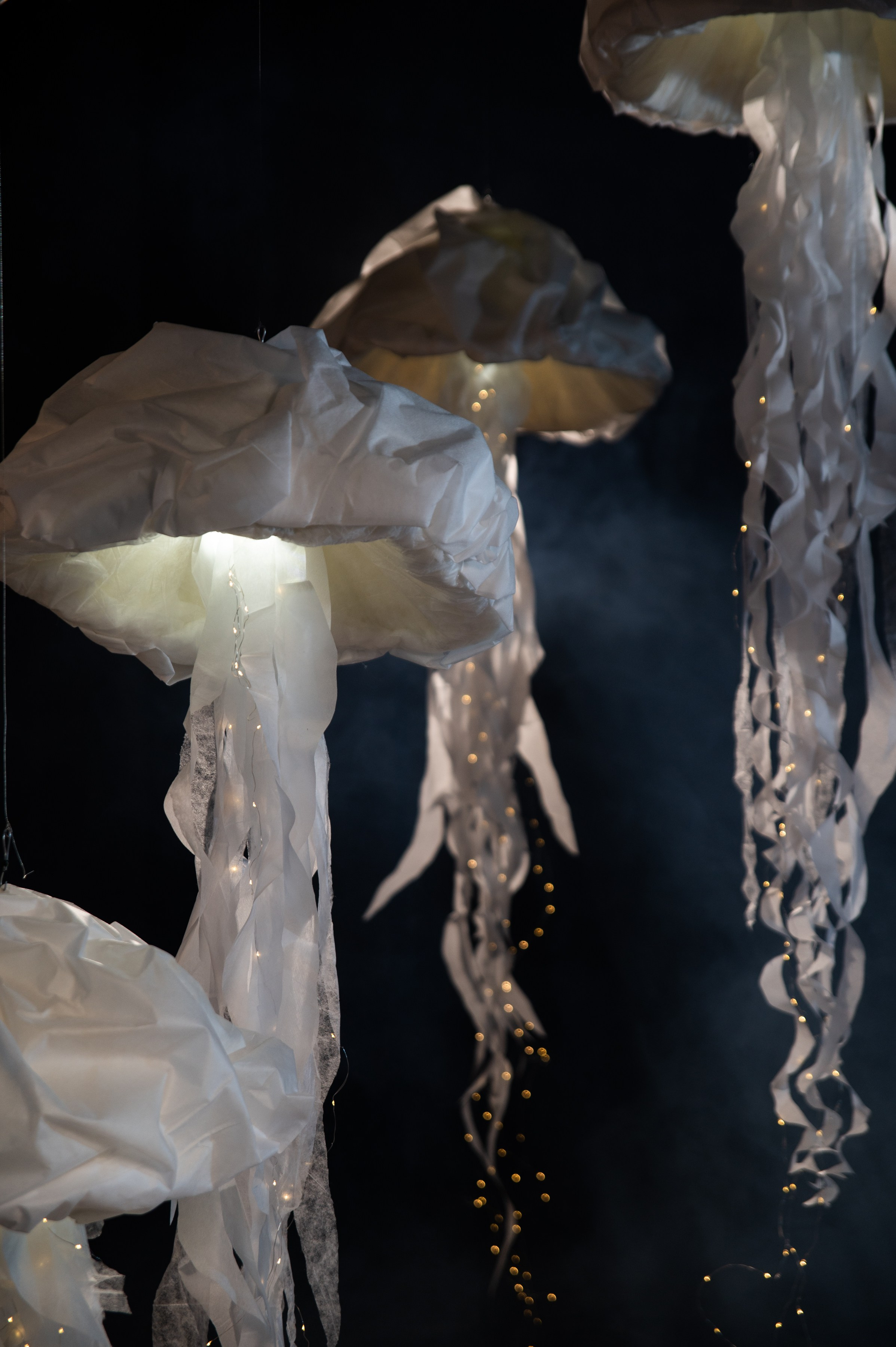 Свадебная фотосессия в Твери, Москве и Санкт-Петербурге. Свадебный фотограф в Твери, Москве и Санкт-Петербурге Денисова Екатерина