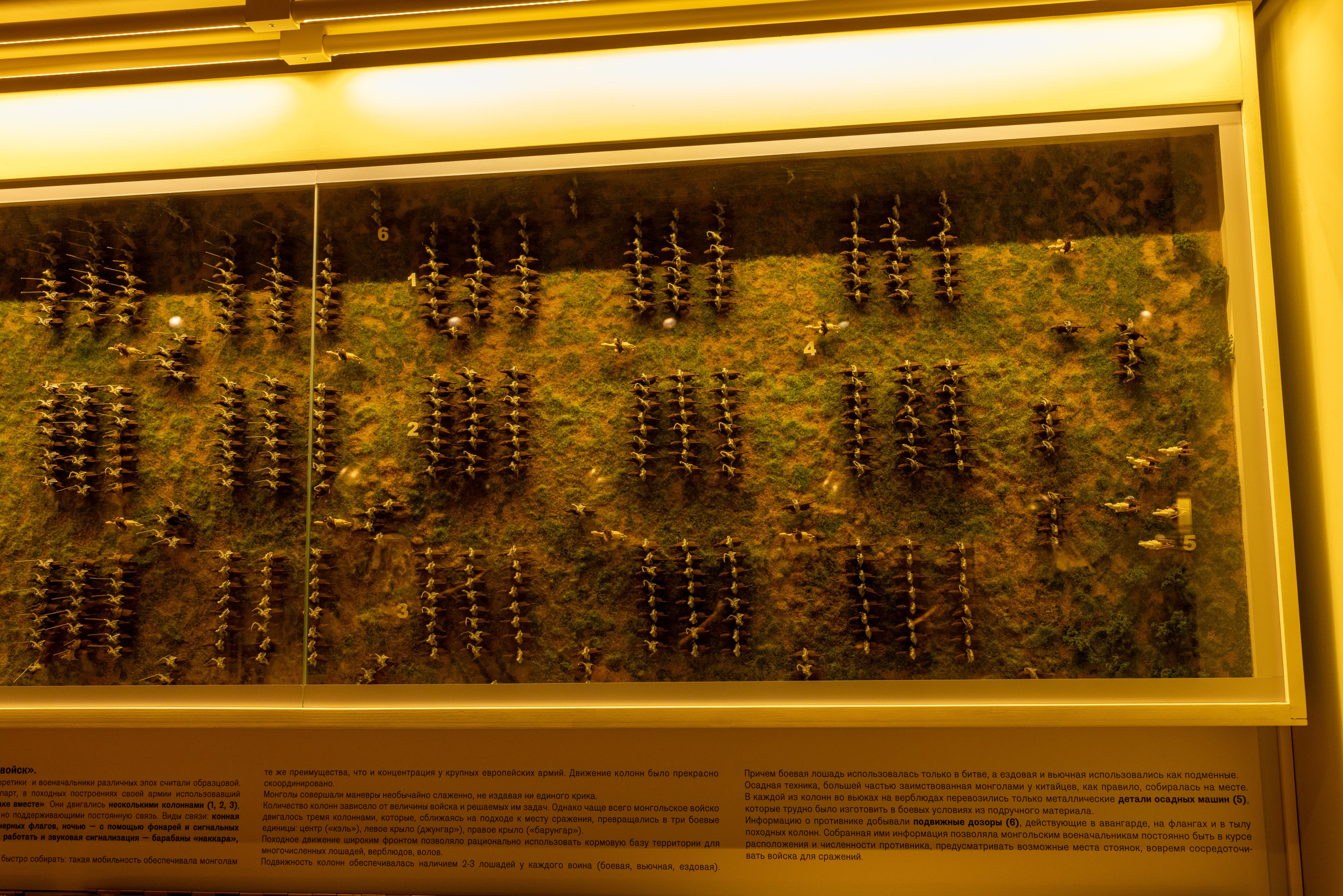 Поездка на поле Кулеково. Фотограф в Туле Крупский АнДРей. Фотостудия «КАДР71» в Туле