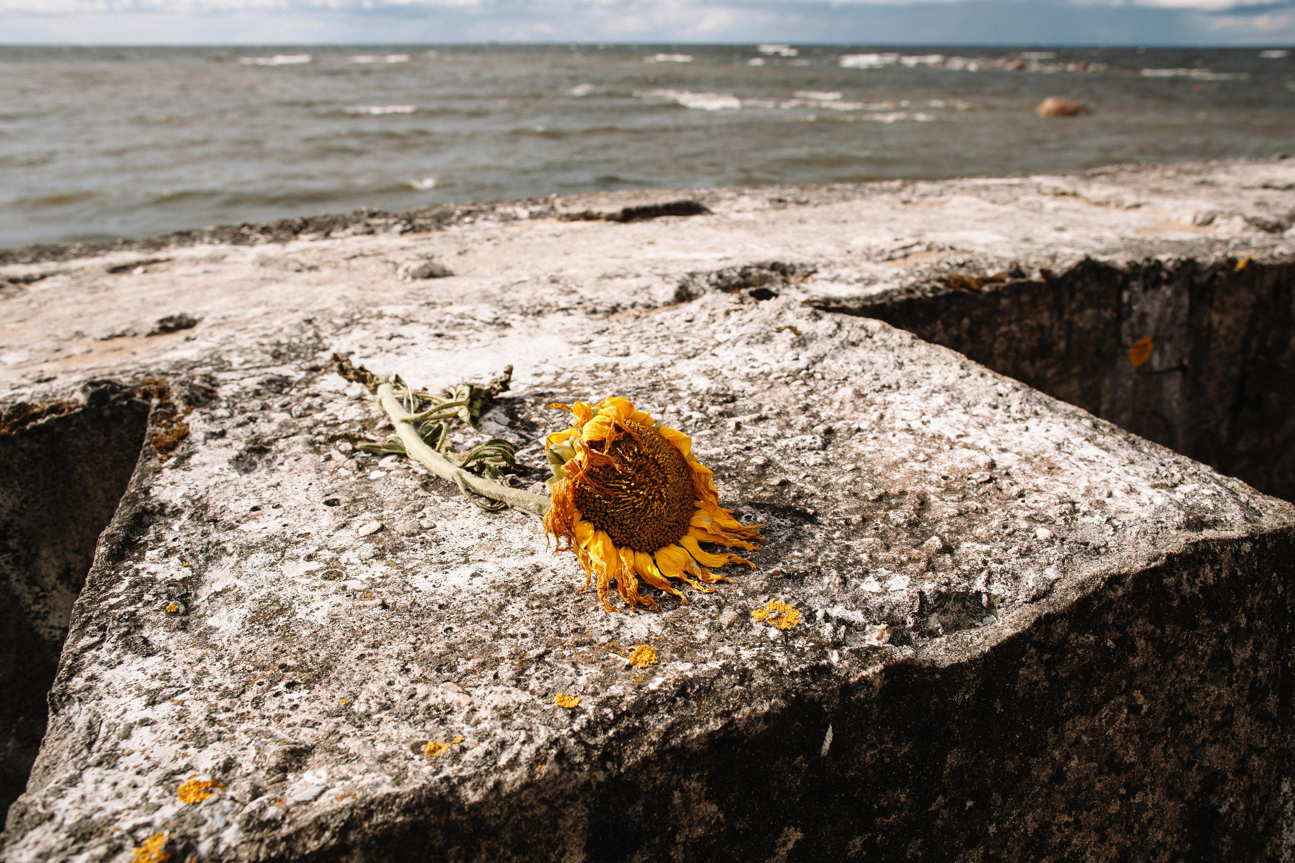 На маяк за радугой. Семейный и свадебный фотограф в Майкопе Михаил Мартиросян
