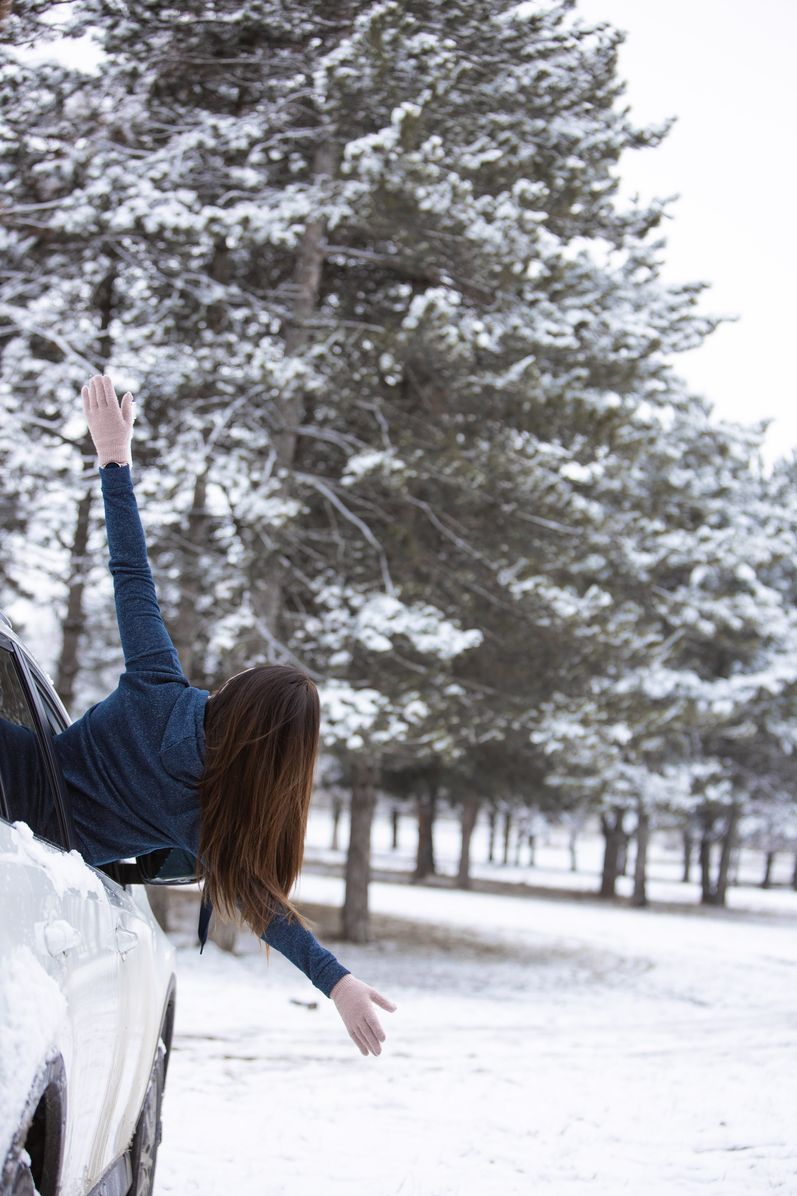 Зима. Профессиональный фотограф и видеооператор