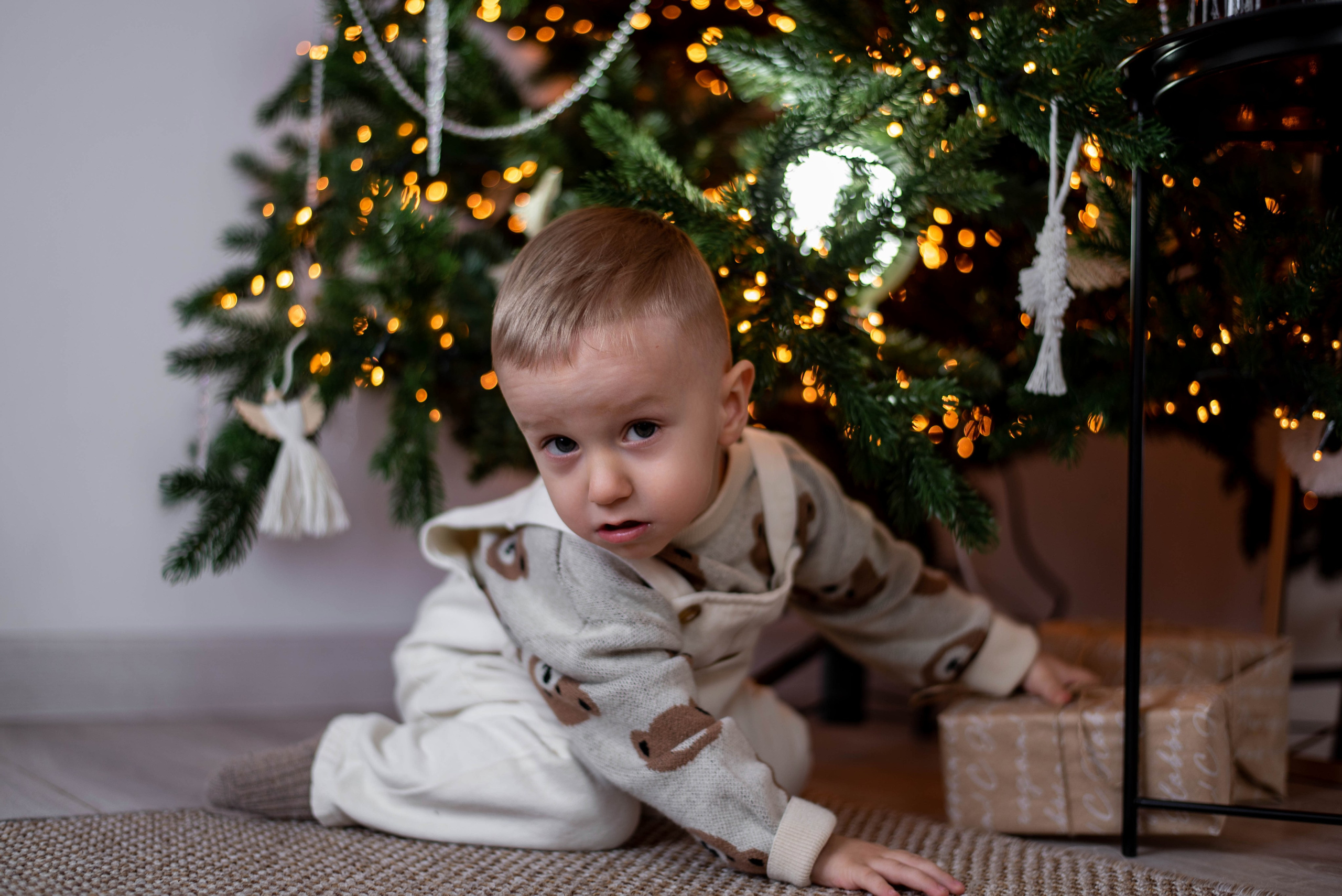 Семья Мартиросовых. Свадебный и семейный фотограф в Миллерово и Ростове Алёна Черепенина