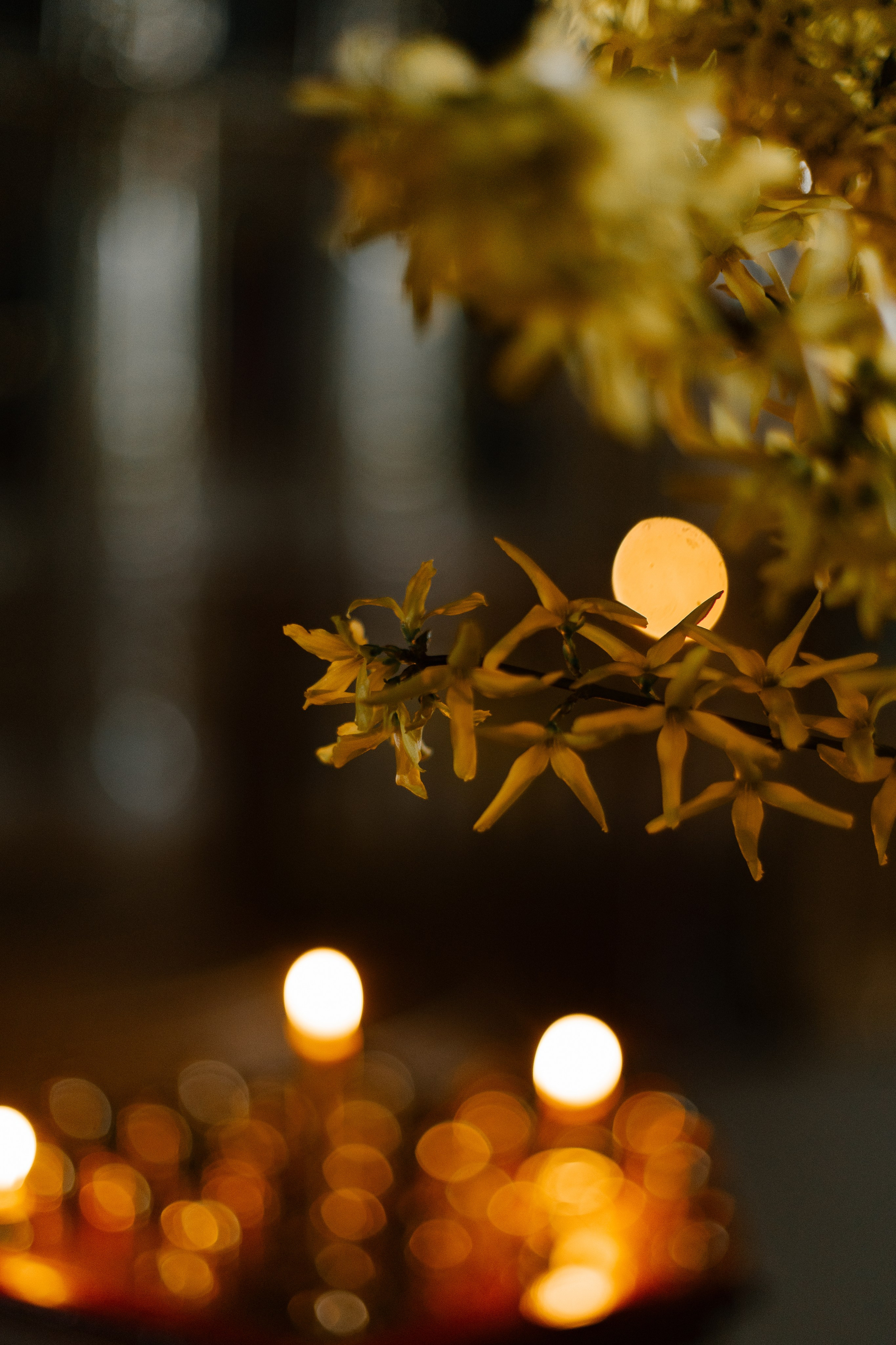 Крещение Анны. Свадебный и семейный фотограф в Таганроге и Ростове Руднева Анастасия