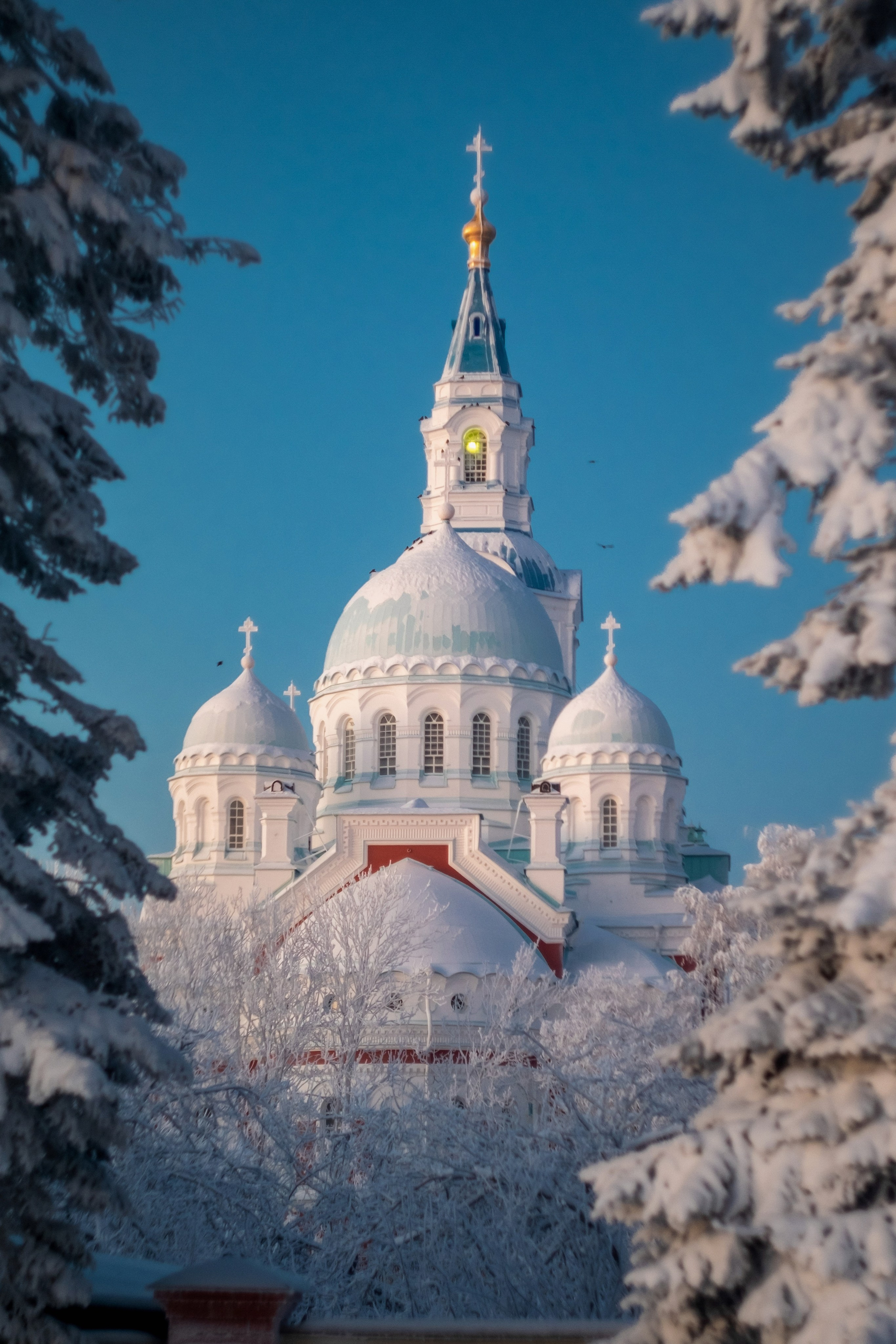 Природа. Трандин Иван Фотограф СПб