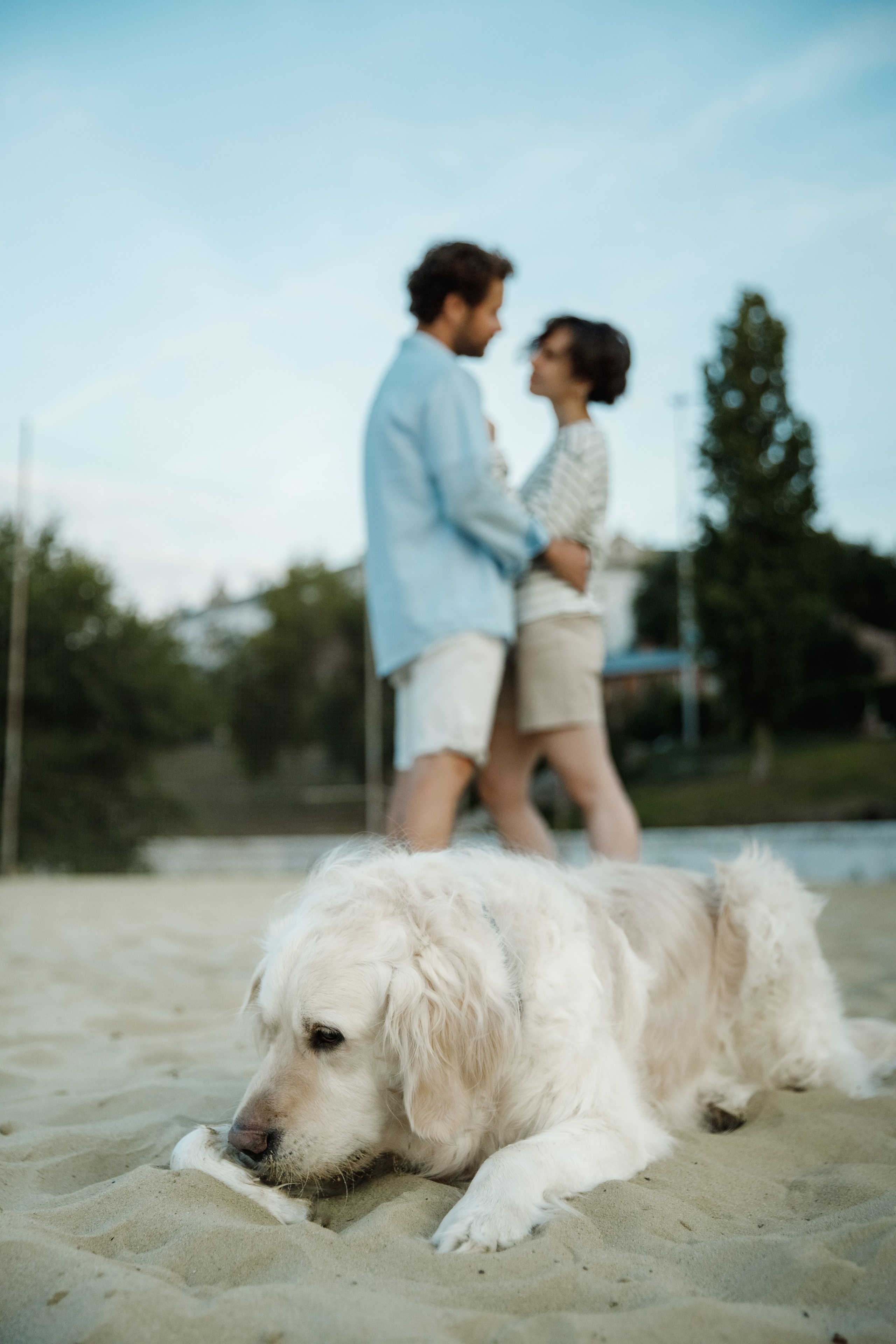 С собакой. Фотограф Илья Чудин в Саратове