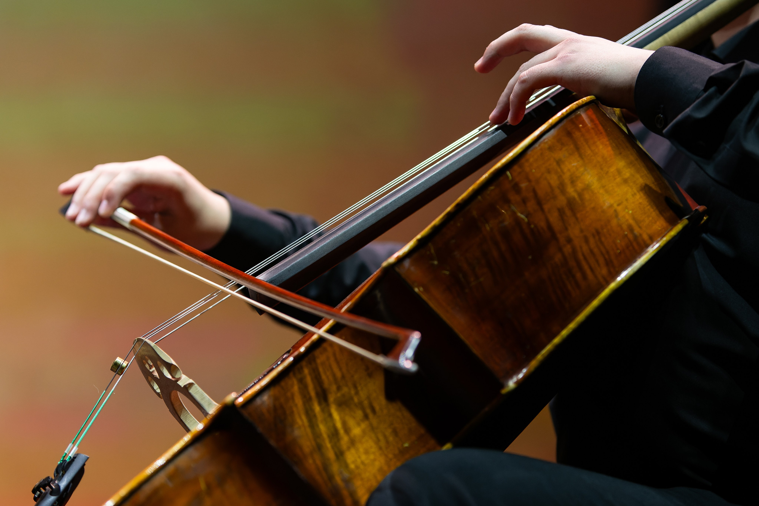 Концерт Южно-Сахалинского симфонического оркестра. Кутузов Евгений Фотограф в Южно-Сахалинске
