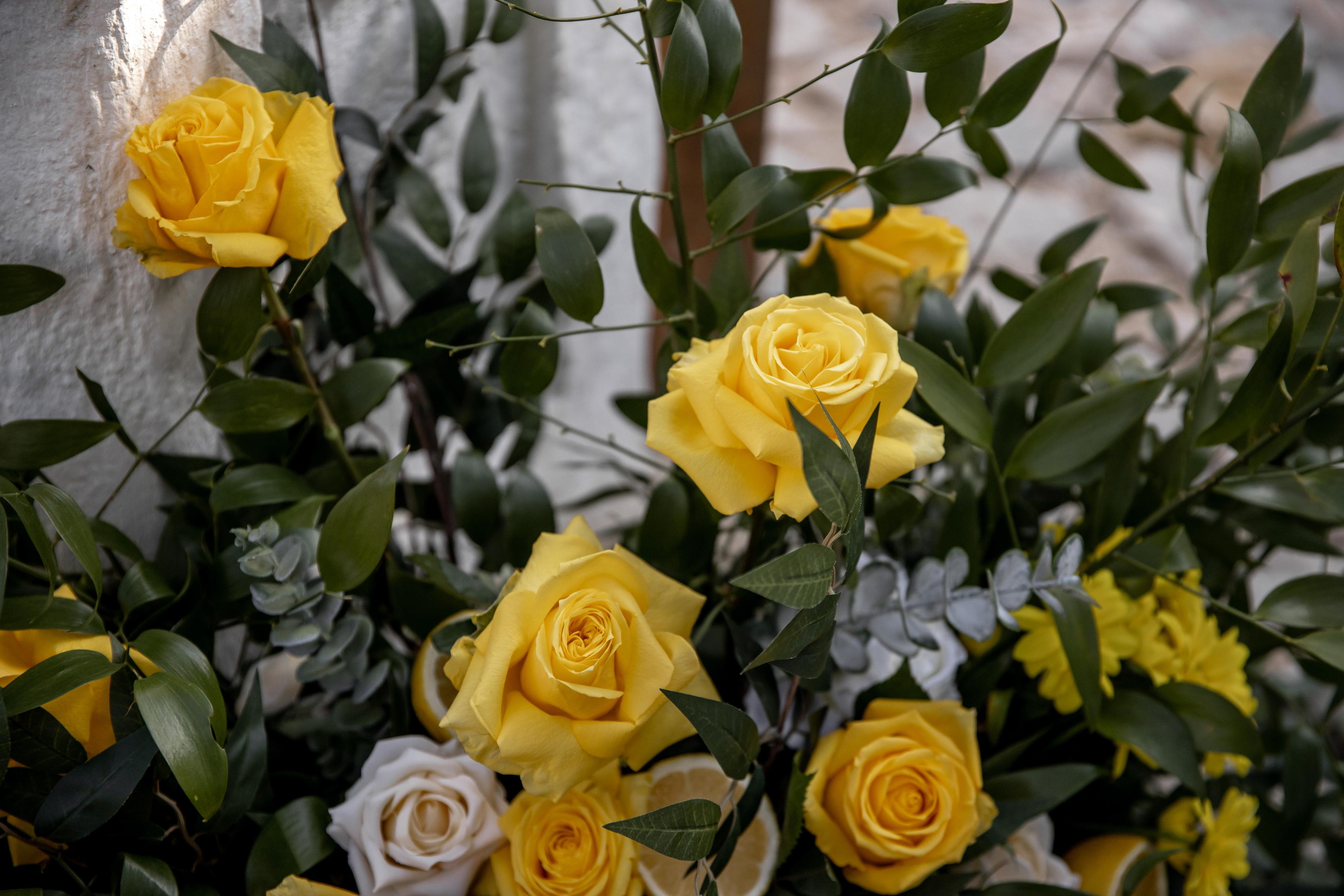 Алексей и Диана. Лимонная история. Свадебный и семейный фотограф в Севастополе и в Крыму Анастасия Корчак